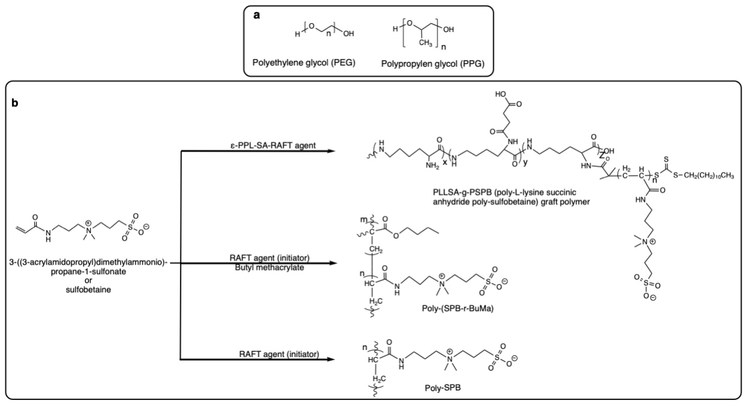 Pharmaceutics 14 02575 g005