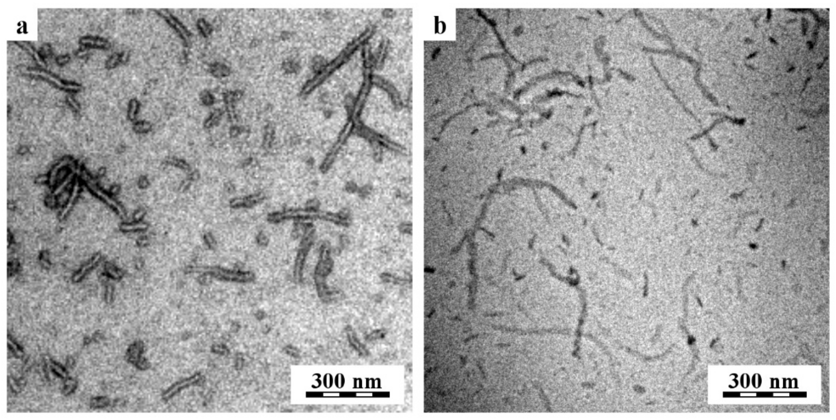 Pharmaceutics 14 02576 g001 Pharmaceutics 14 02576 g001