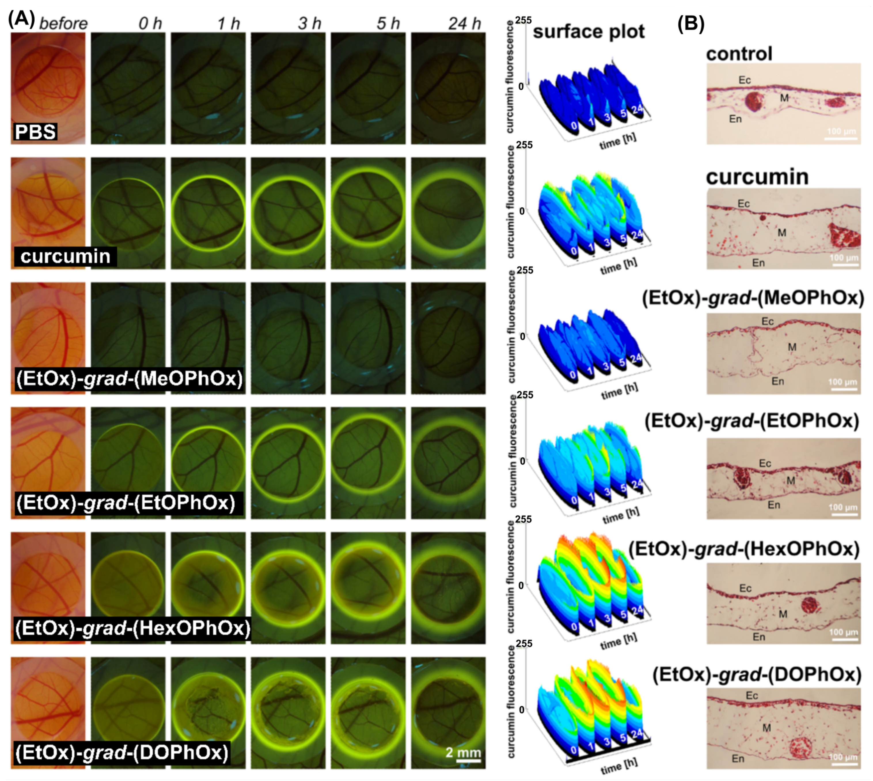 Pharmaceutics 14 02576 g006 Pharmaceutics 14 02576 g006