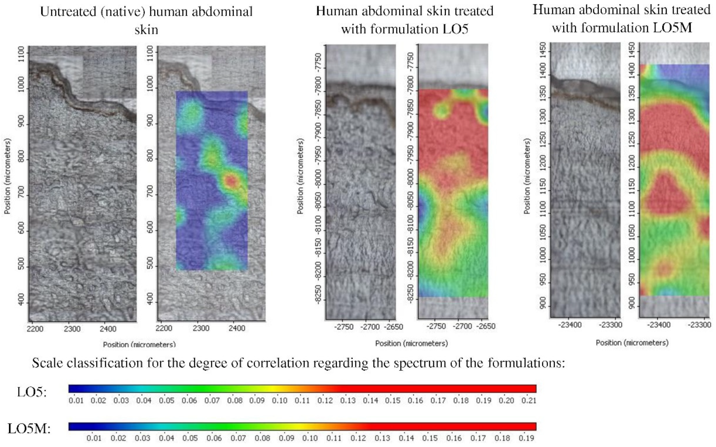 Pharmaceutics 14 02577 g005