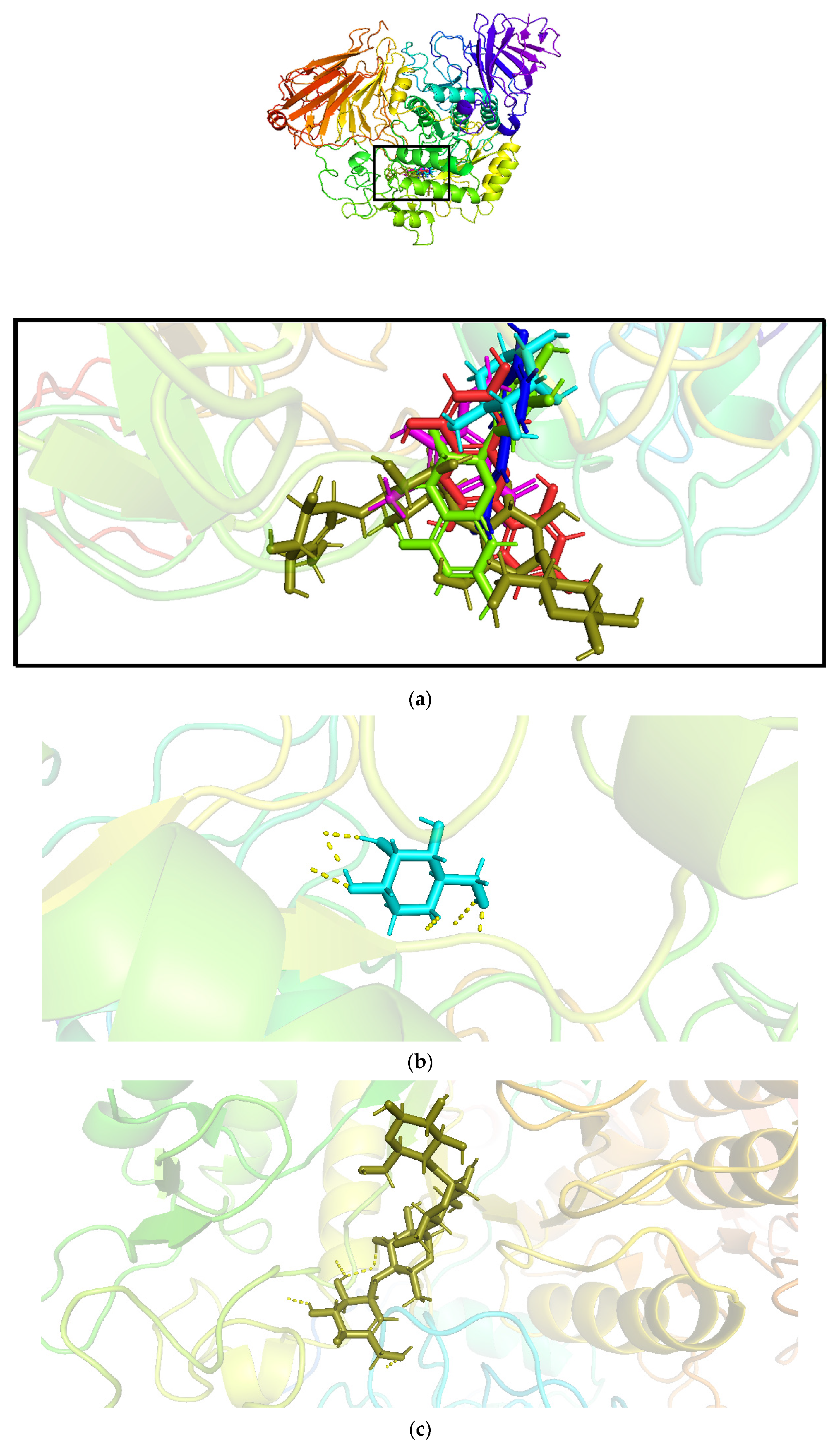 Pharmaceutics 14 02578 g002a Pharmaceutics 14 02578 g002a