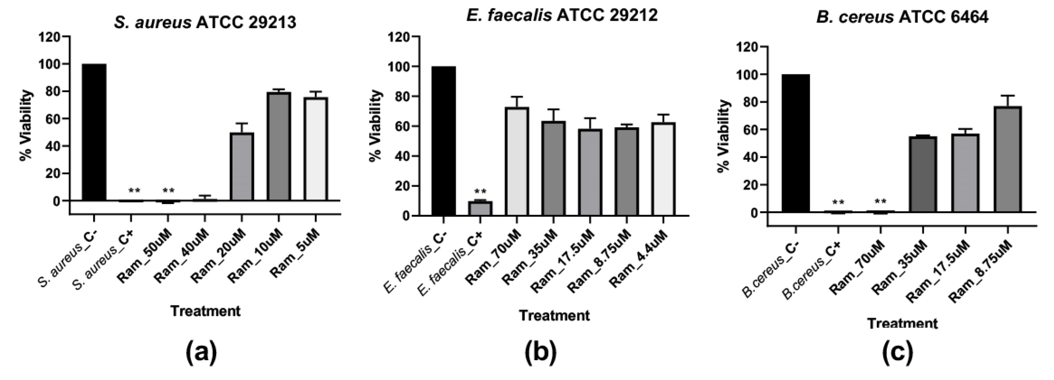 Pharmaceutics 14 02579 g003 Pharmaceutics 14 02579 g003