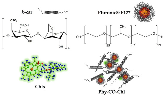 Pharmaceutics, Free Full-Text