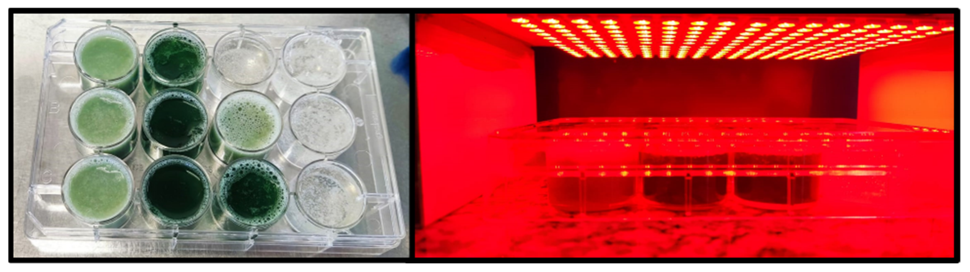 Pharmaceutics 14 02580 g002 Pharmaceutics 14 02580 g002