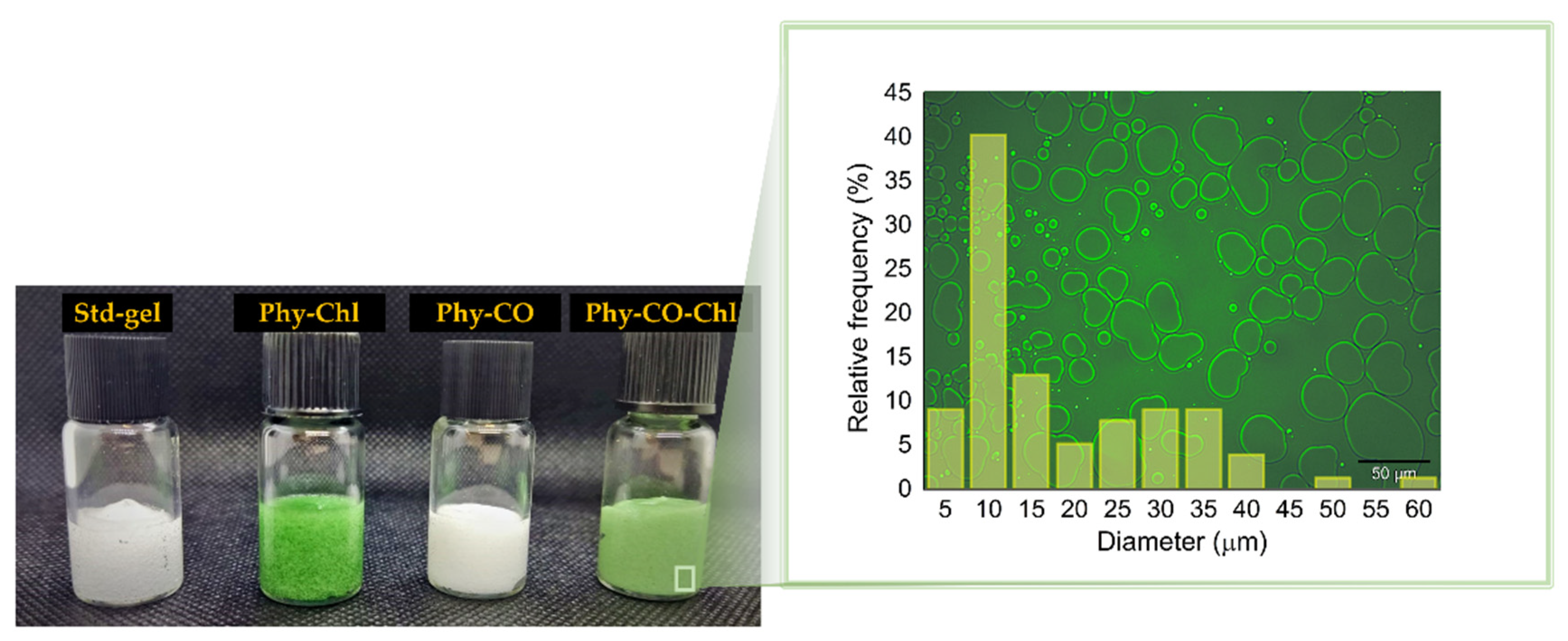 Pharmaceutics 14 02580 g006 Pharmaceutics 14 02580 g006