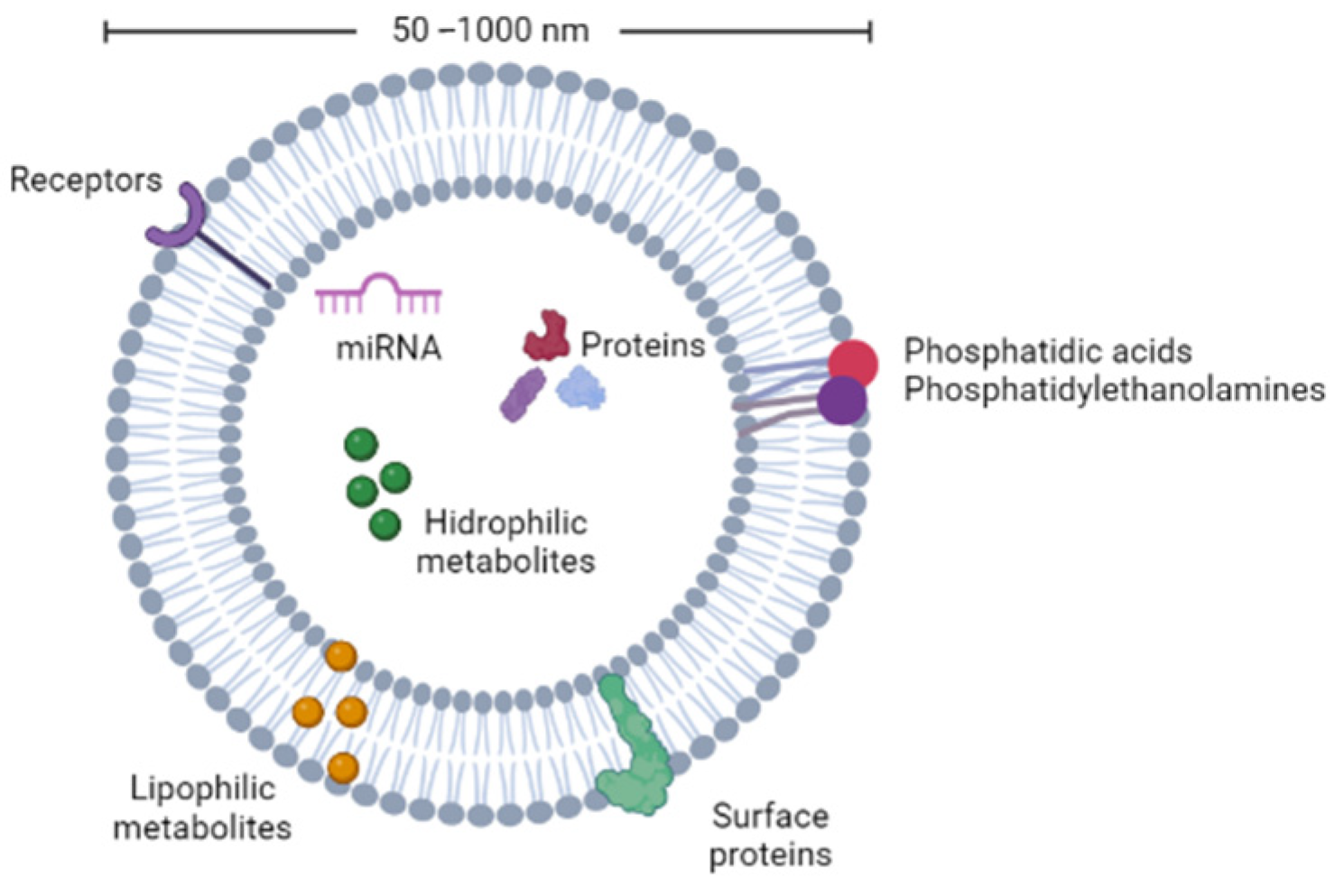 Pharmaceutics 14 02581 g001 Pharmaceutics 14 02581 g001