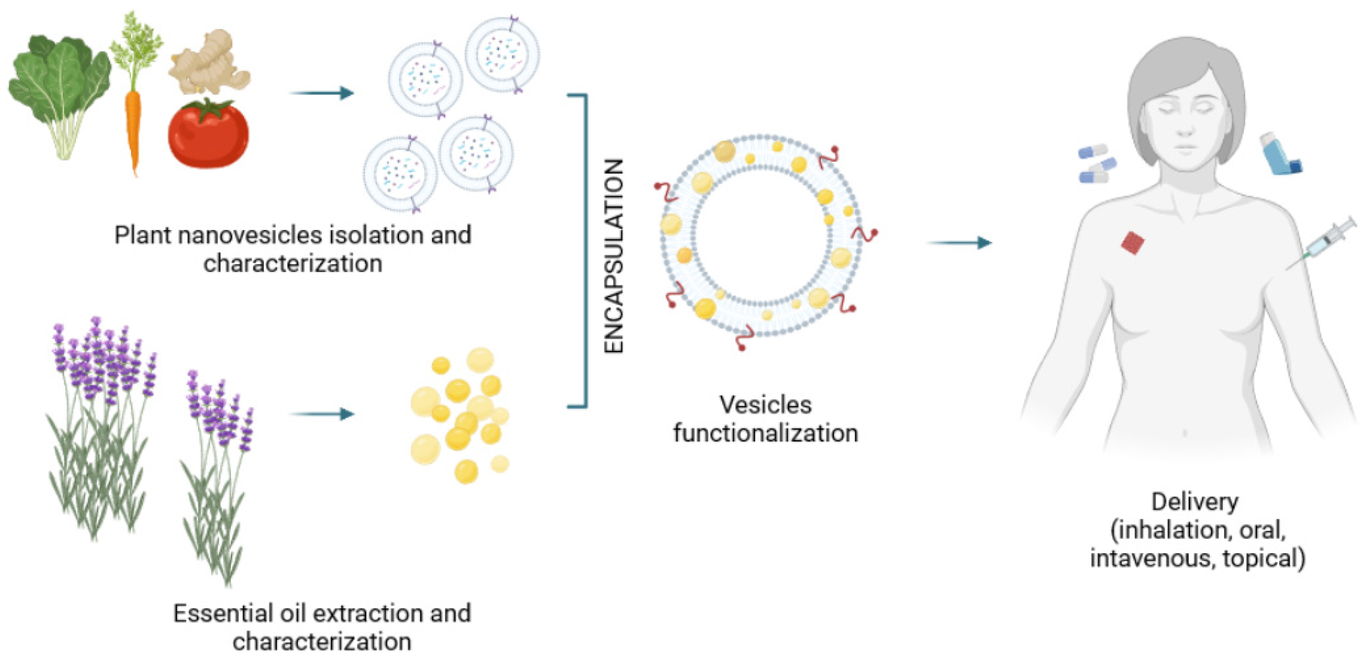 Pharmaceutics 14 02581 g002 Pharmaceutics 14 02581 g002