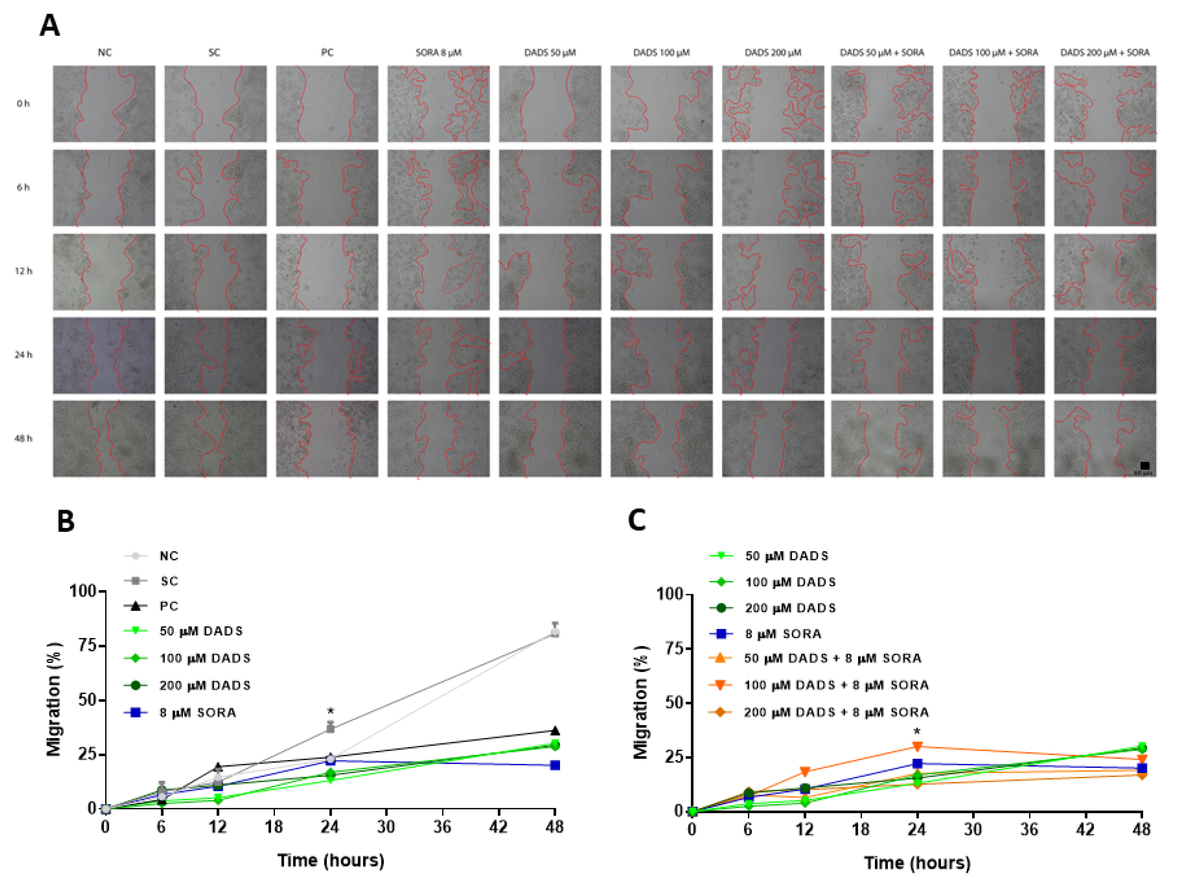 Pharmaceutics 14 02582 g006