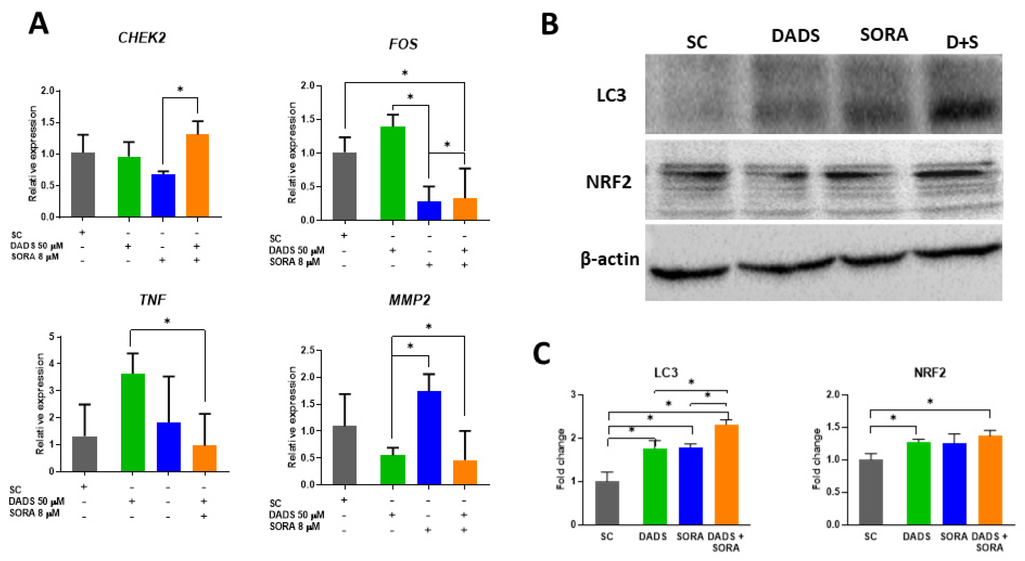 Pharmaceutics 14 02582 g008