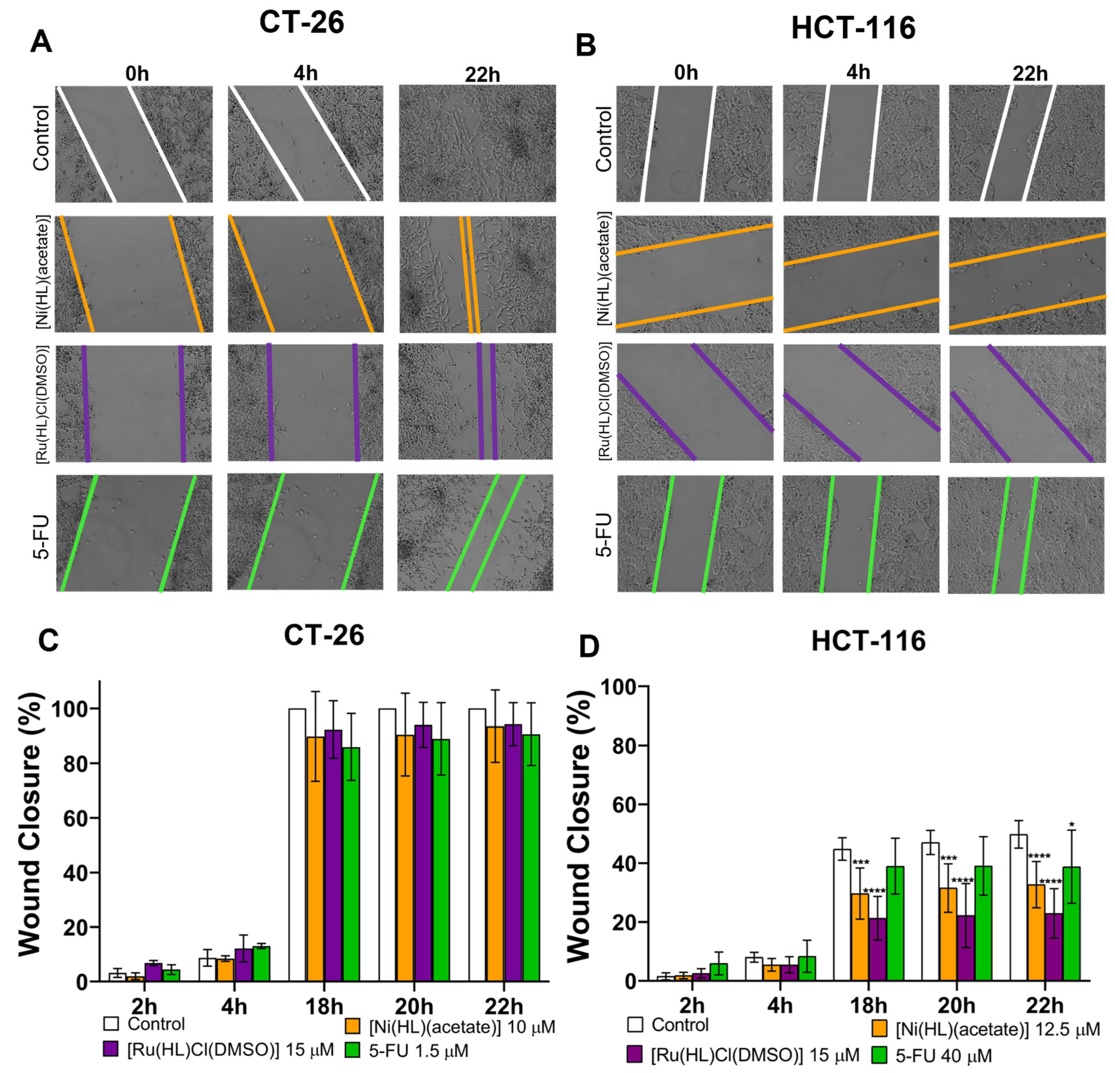 Pharmaceutics 14 02583 g011
