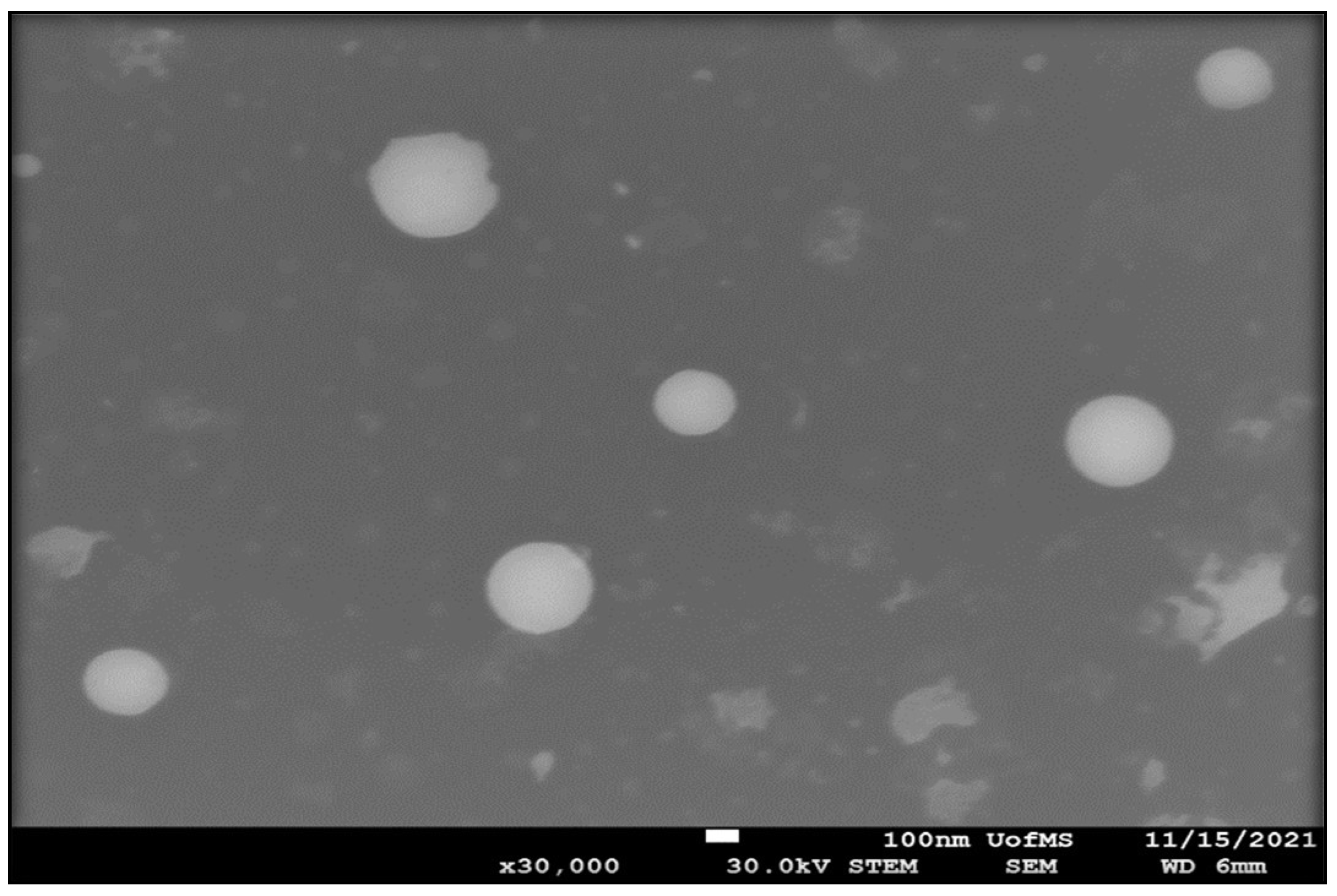 Pharmaceutics 14 02585 g001 Pharmaceutics 14 02585 g001