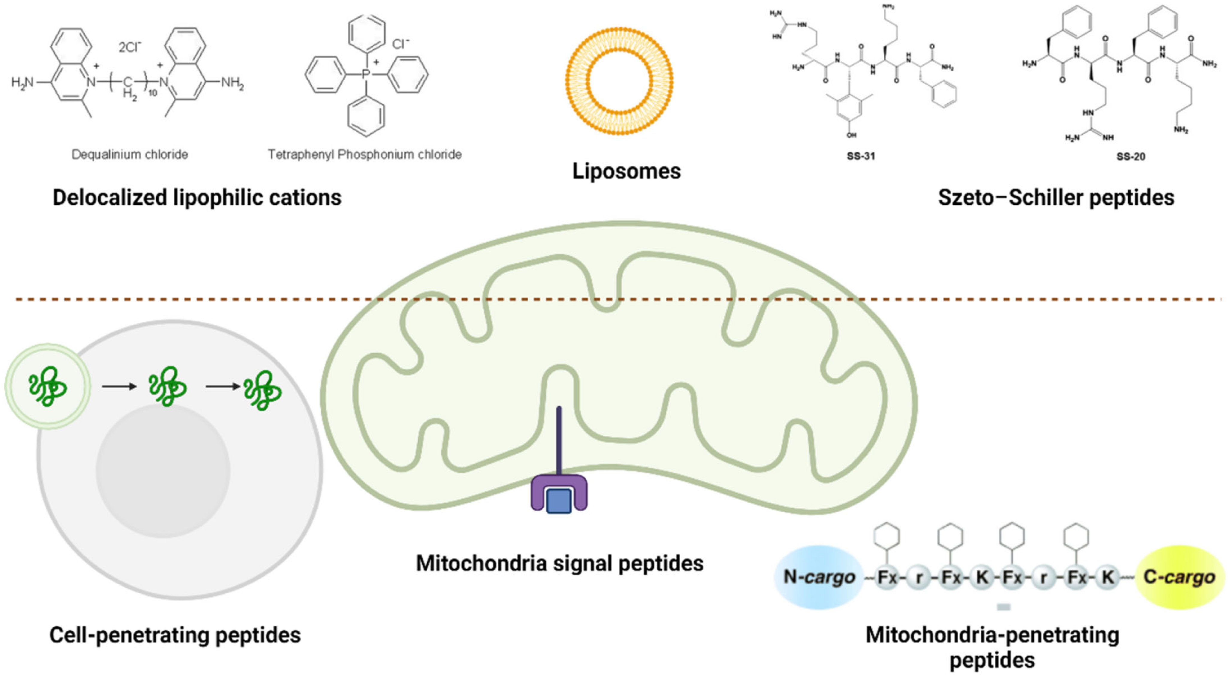 Pharmaceutics 14 02588 g002