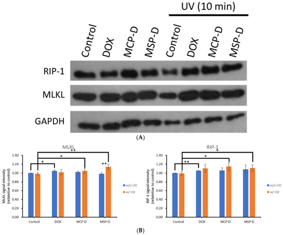 スパン Analytical model on progressive collapse resistance of