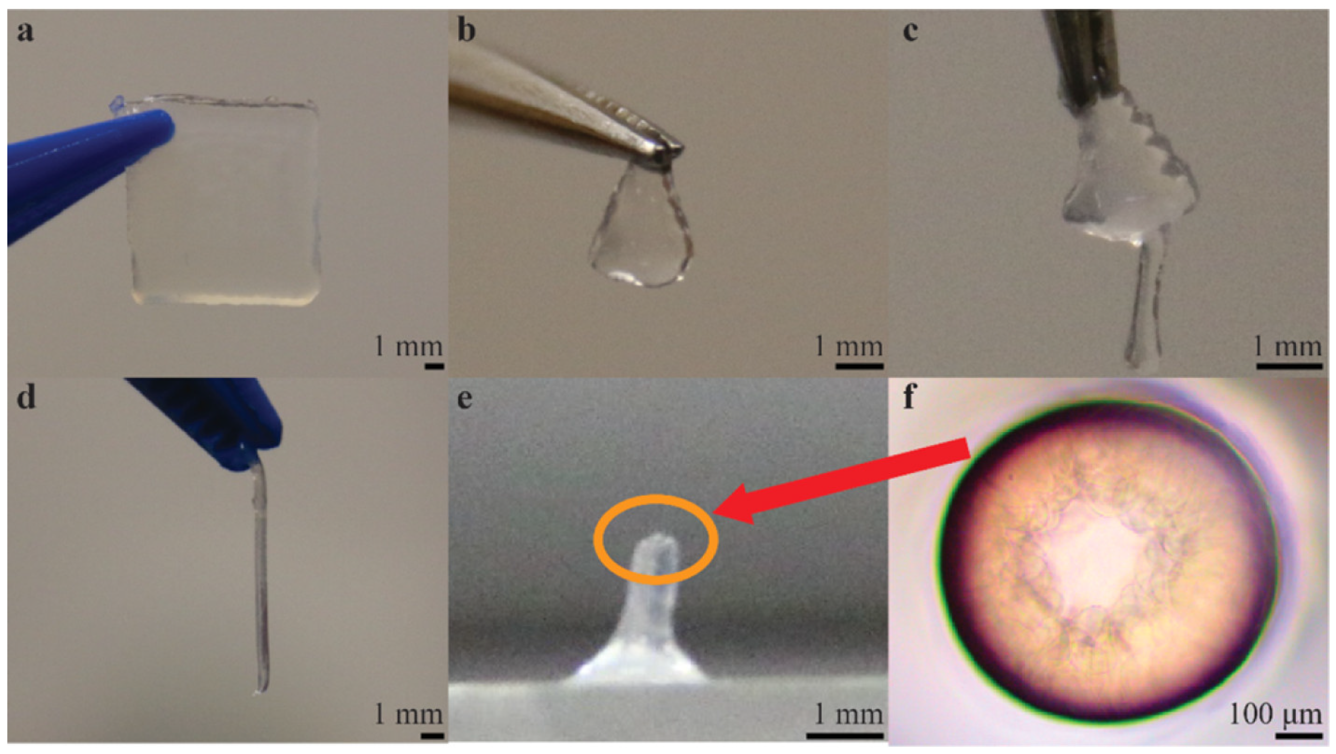 Pharmaceutics 14 02596 g002 Pharmaceutics 14 02596 g002