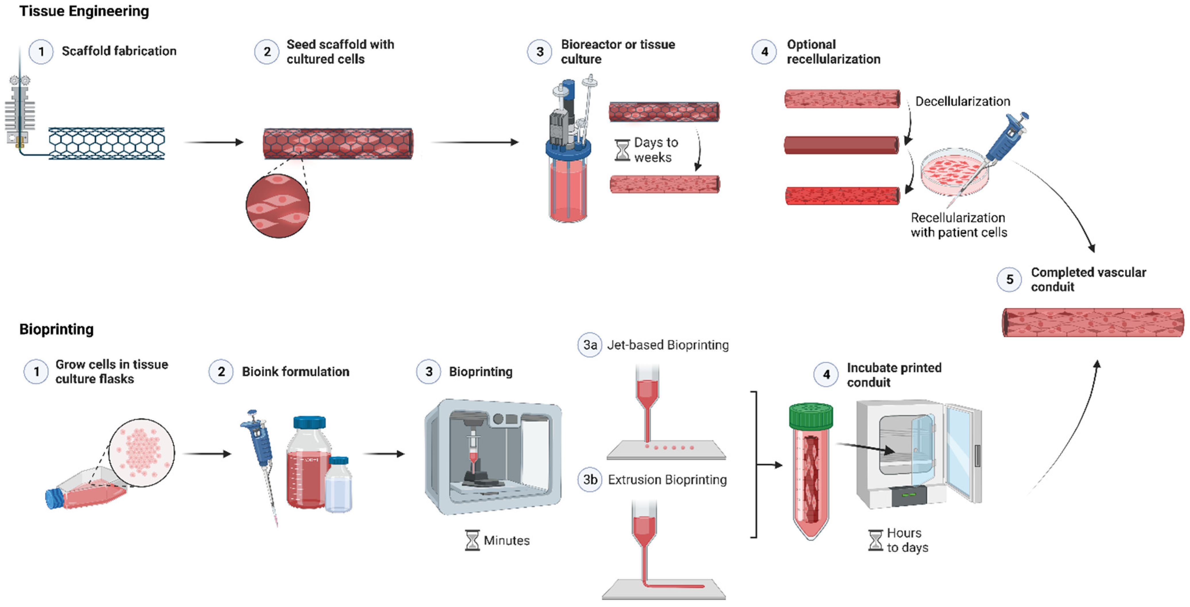 Pharmaceutics 14 02596 g003 Pharmaceutics 14 02596 g003