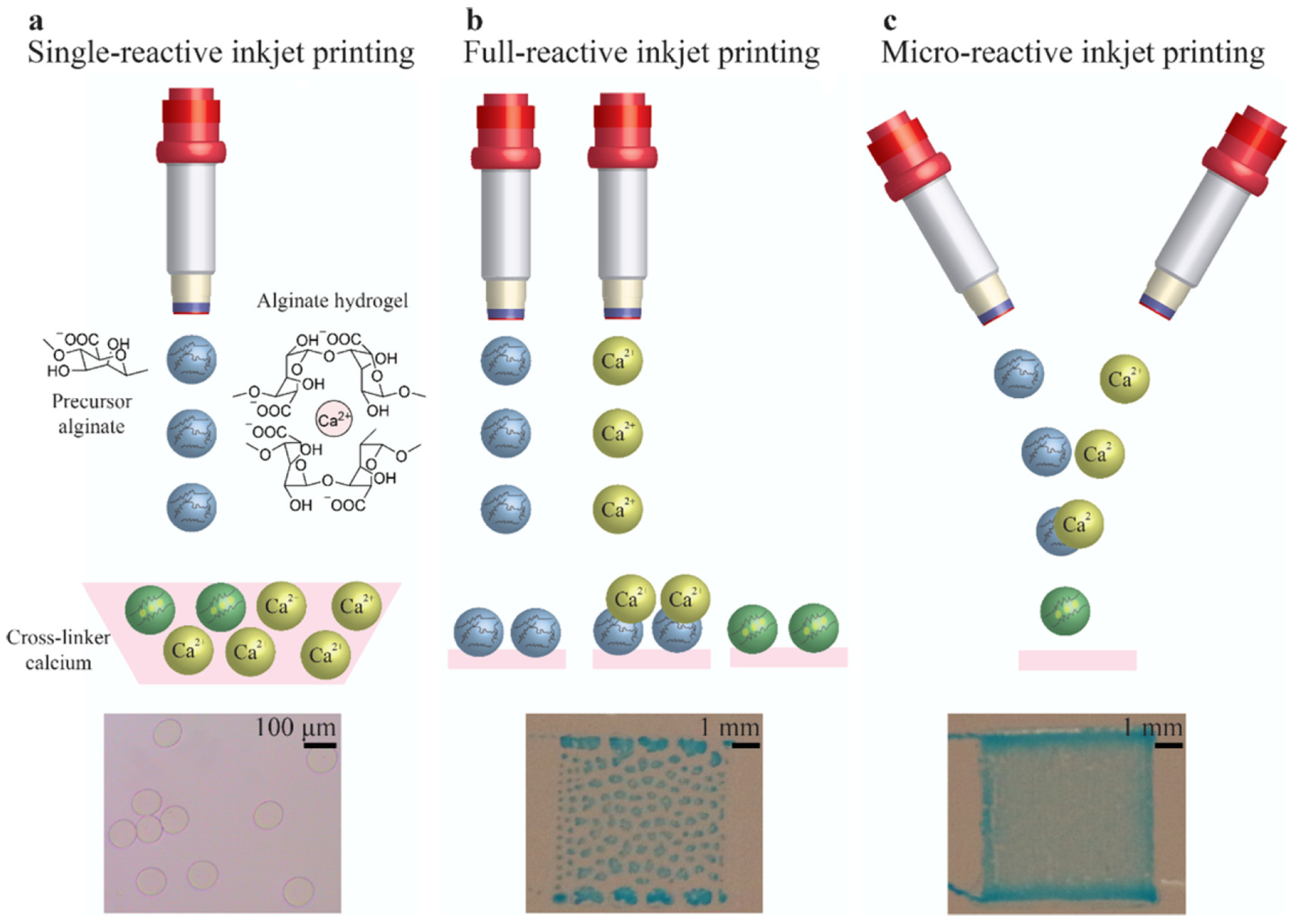 Pharmaceutics 14 02596 g004 Pharmaceutics 14 02596 g004