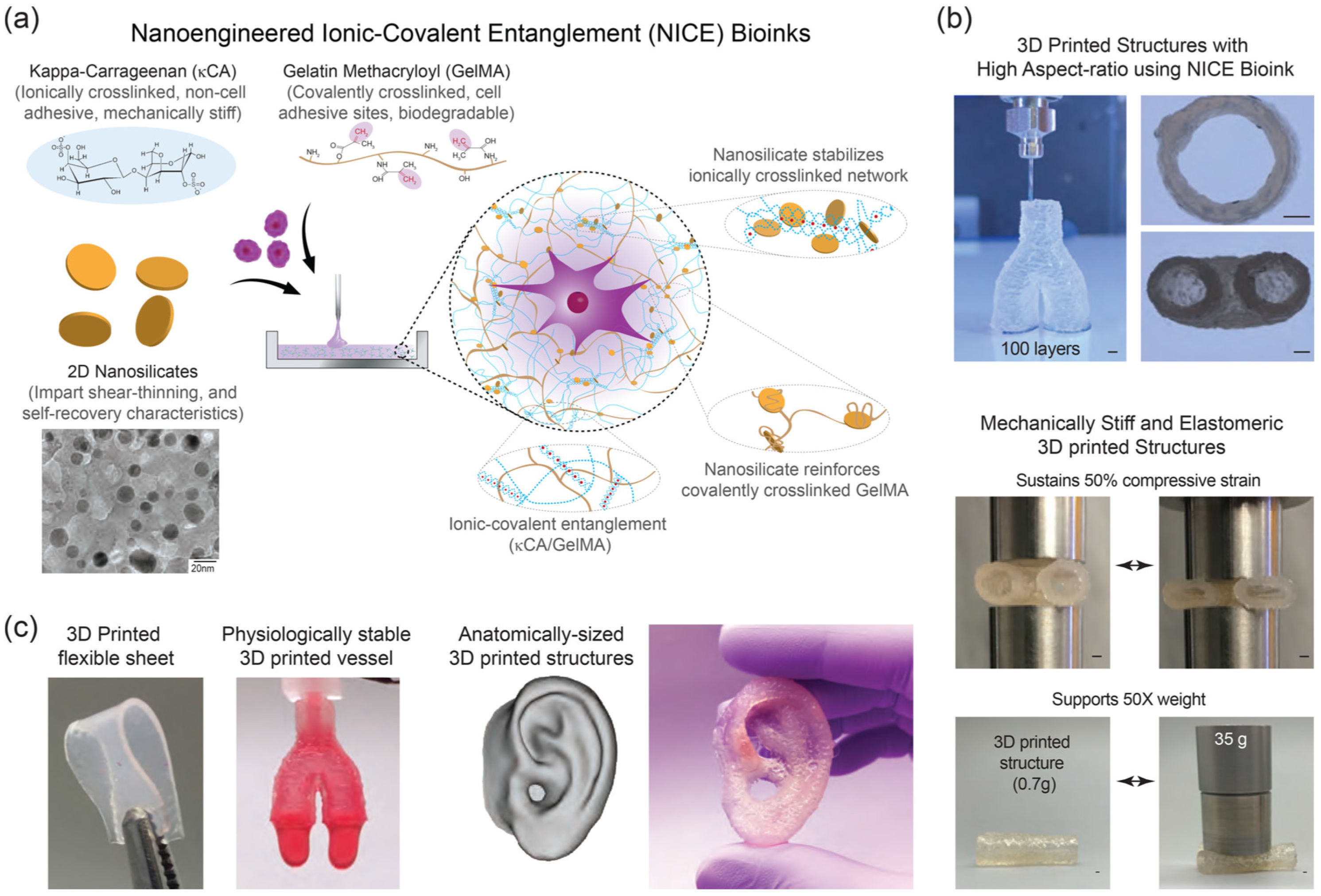 Pharmaceutics 14 02596 g005 Pharmaceutics 14 02596 g005