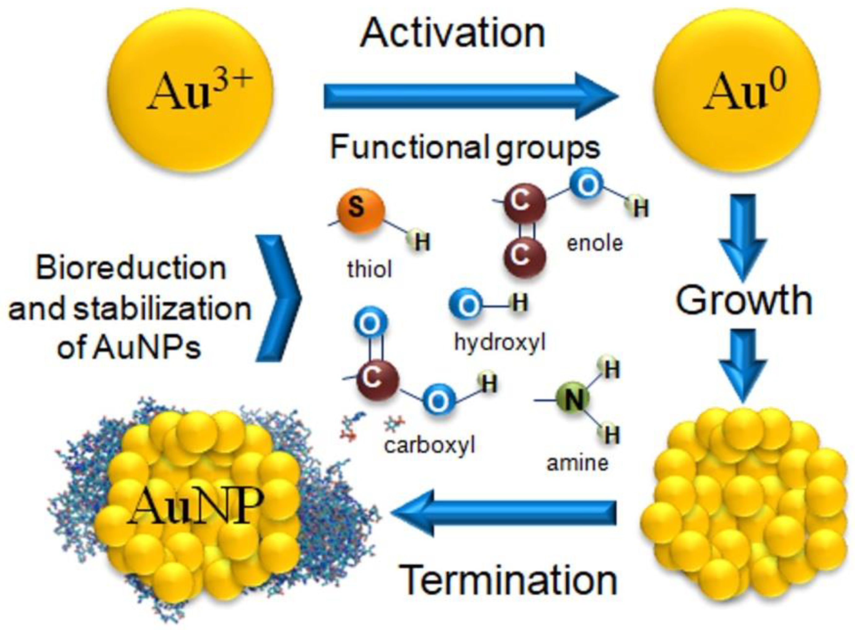 Pharmaceutics 14 02599 g002 Pharmaceutics 14 02599 g002
