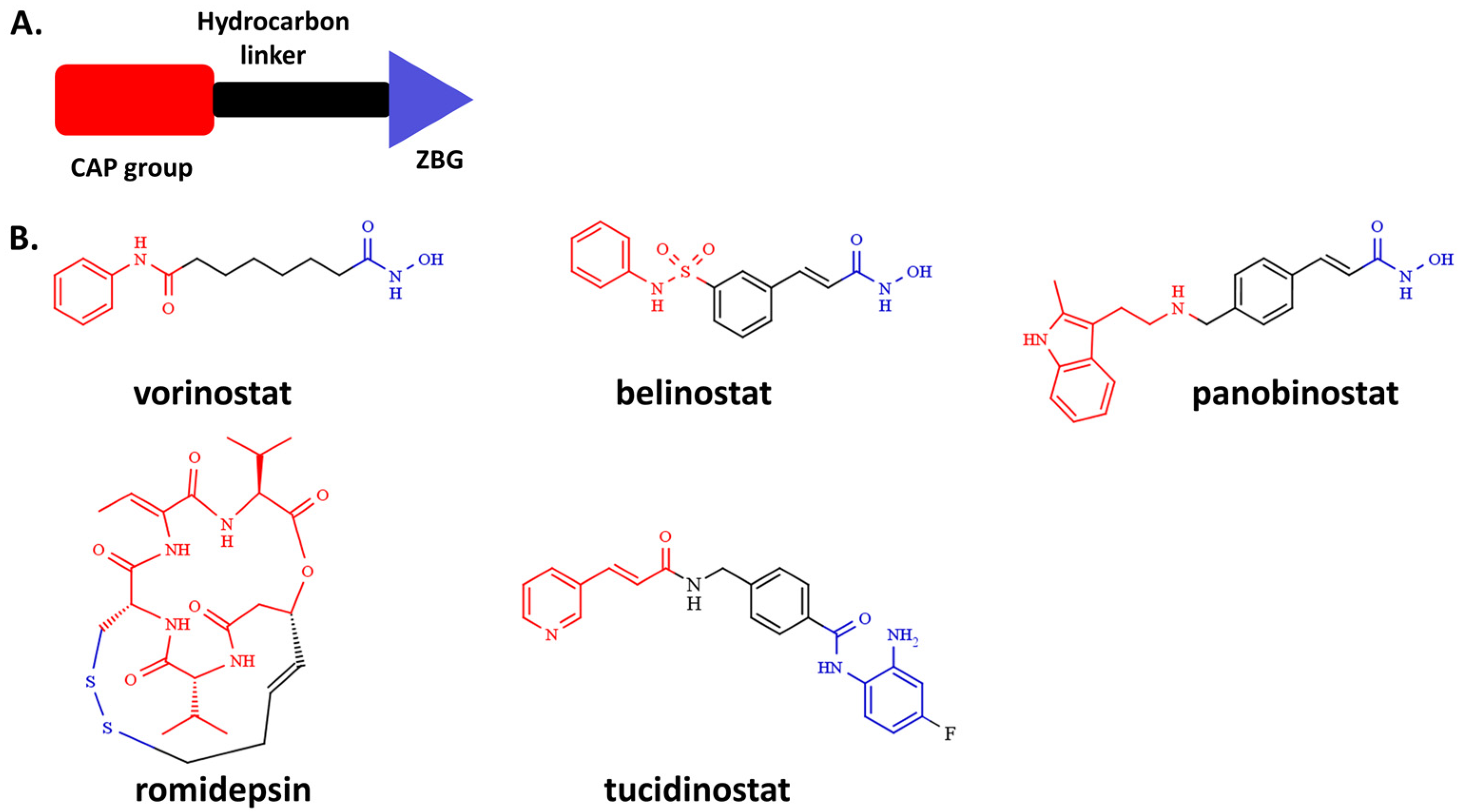 Pharmaceutics 14 02600 g001