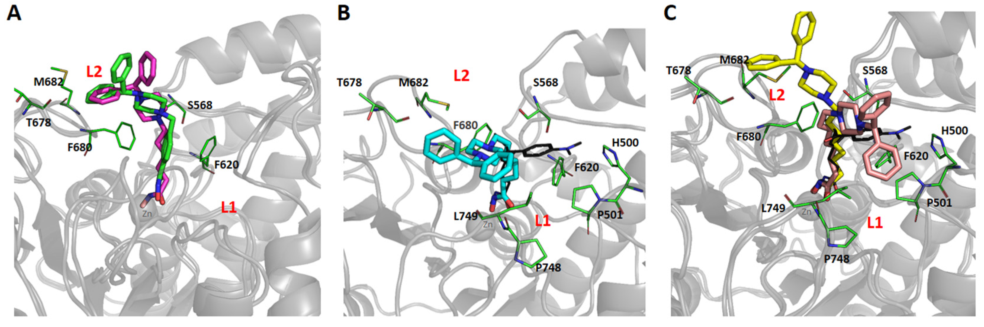 Pharmaceutics 14 02600 g003