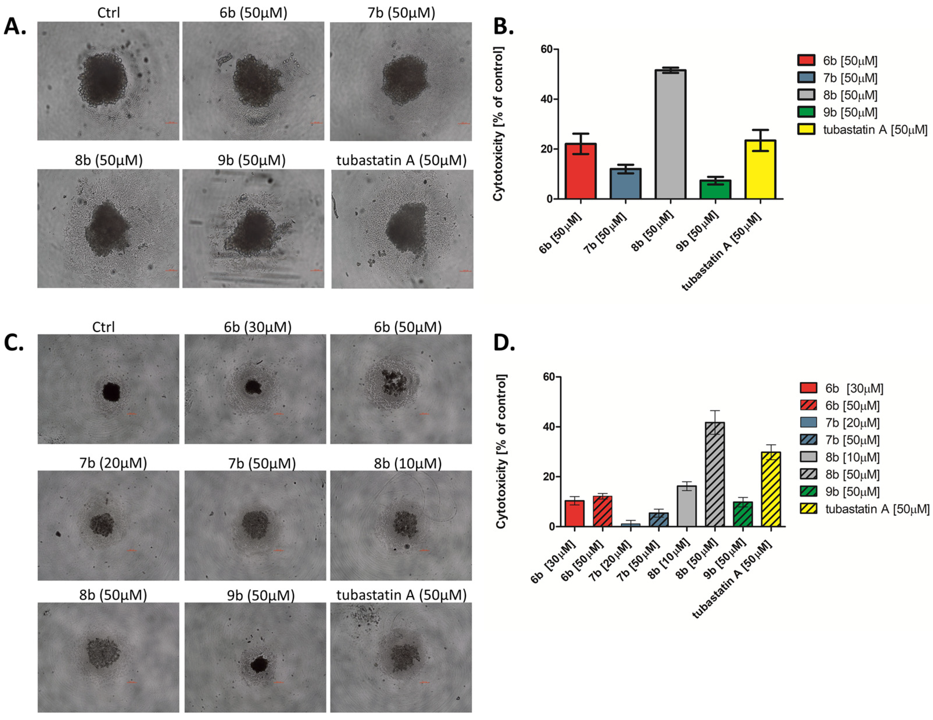 Pharmaceutics 14 02600 g006