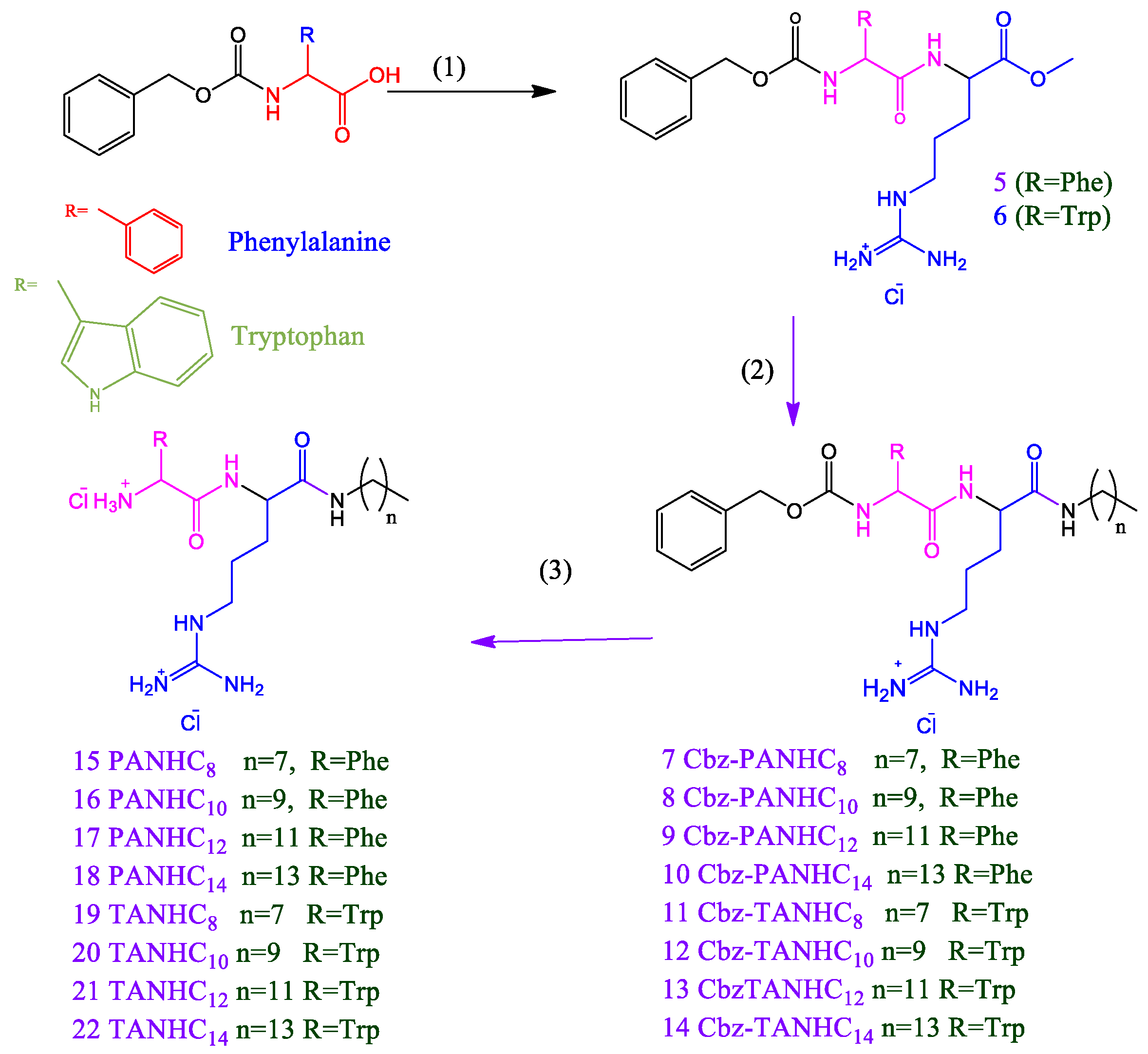 Pharmaceutics 14 02602 g003