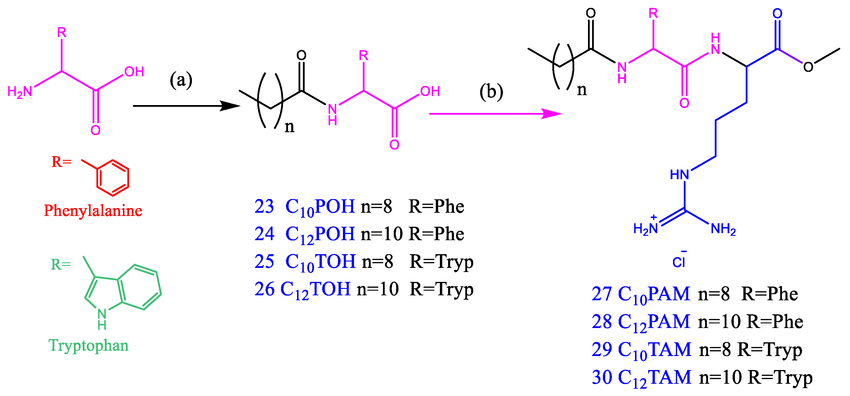 Pharmaceutics 14 02602 g004