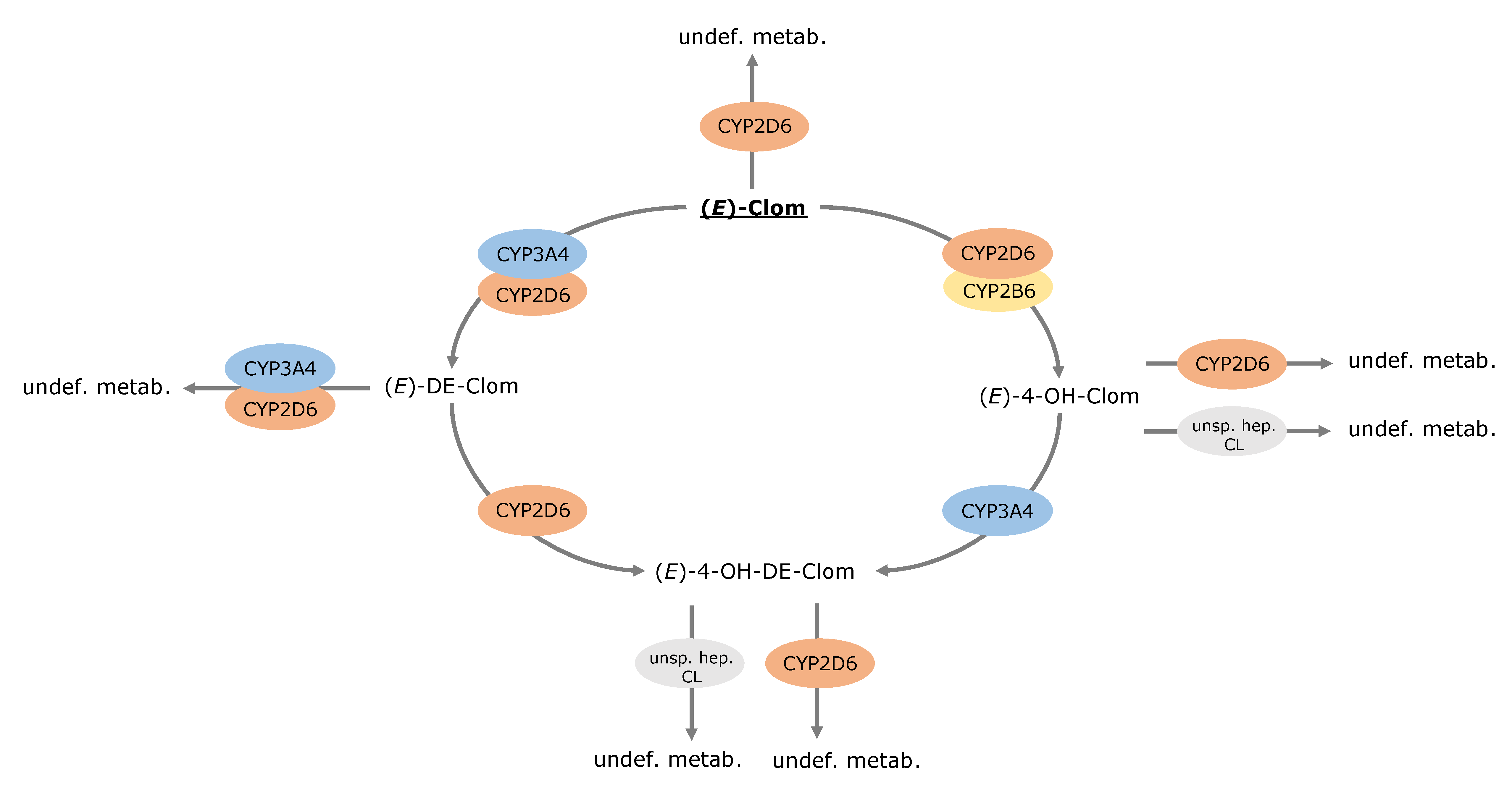 Pharmaceutics 14 02604 g002