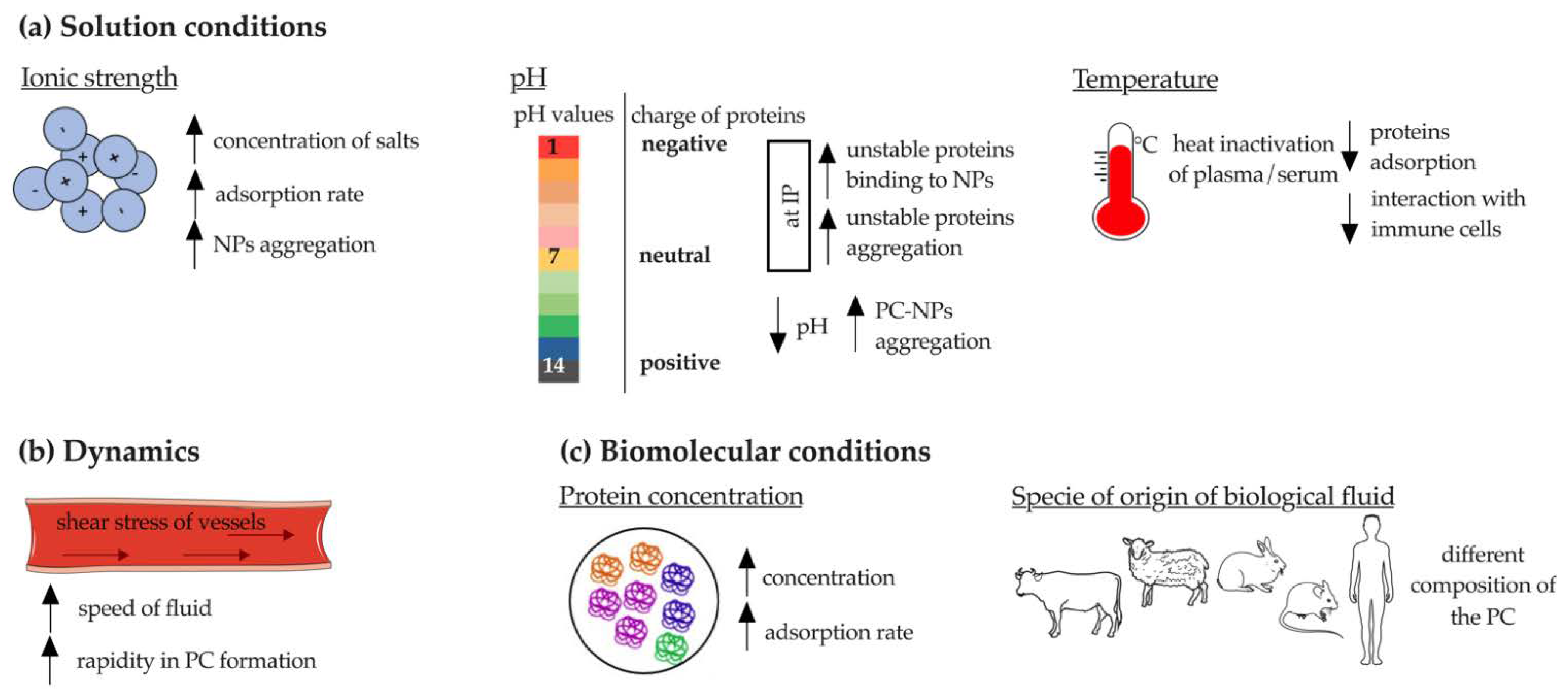 Pharmaceutics 14 02605 g003