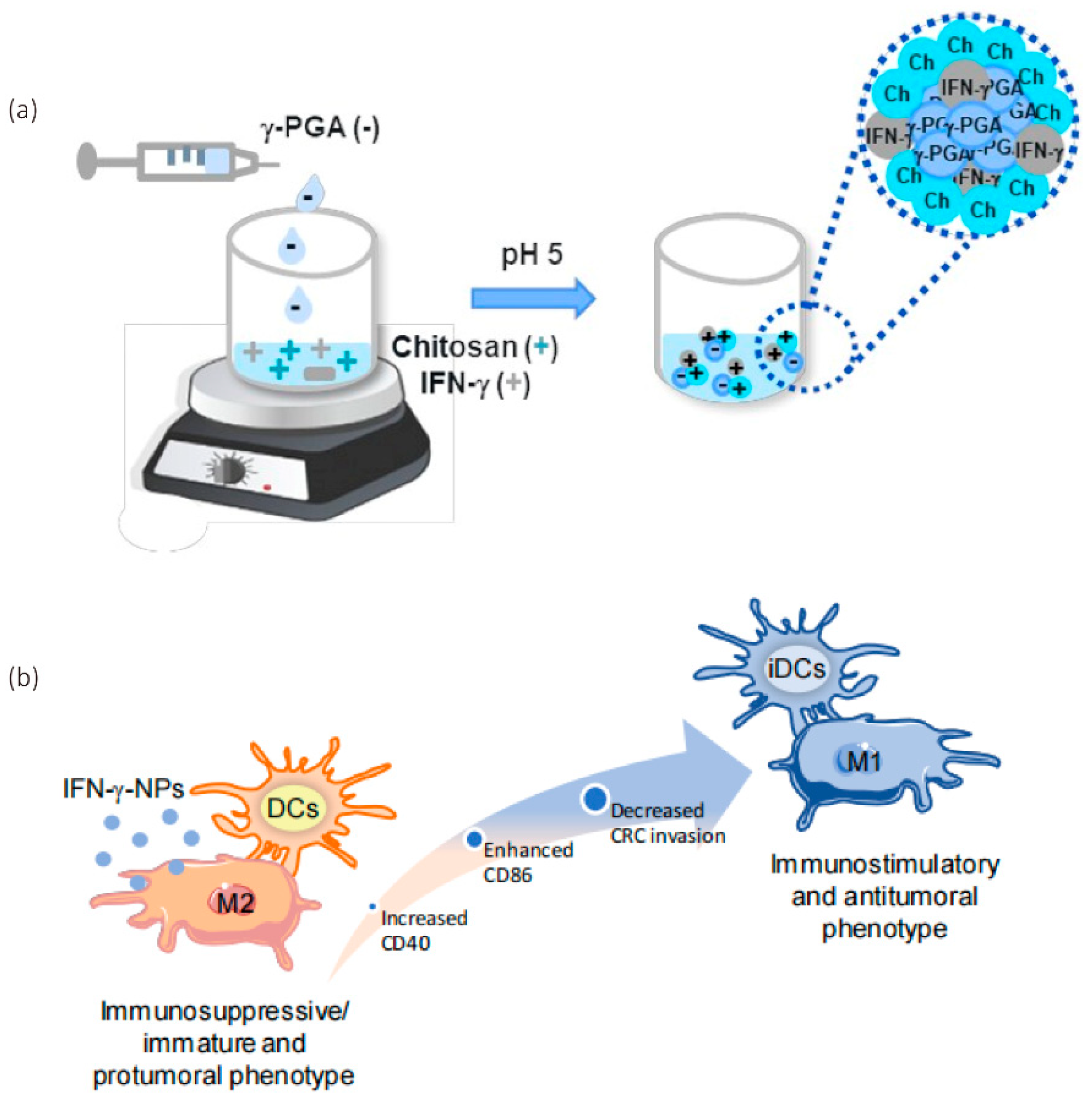 Pharmaceutics 14 02606 g001