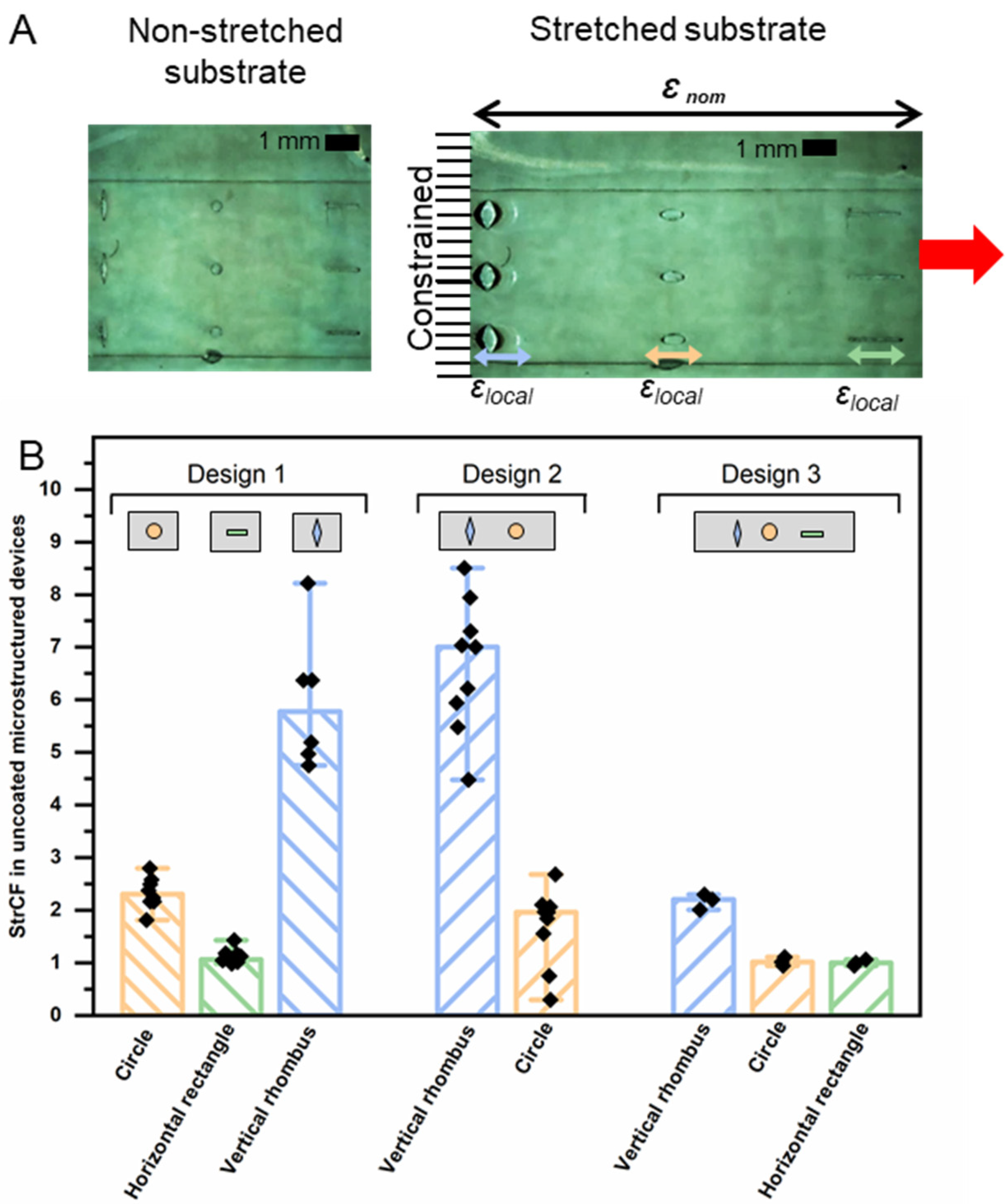Pharmaceutics 14 02611 g006 Pharmaceutics 14 02611 g006
