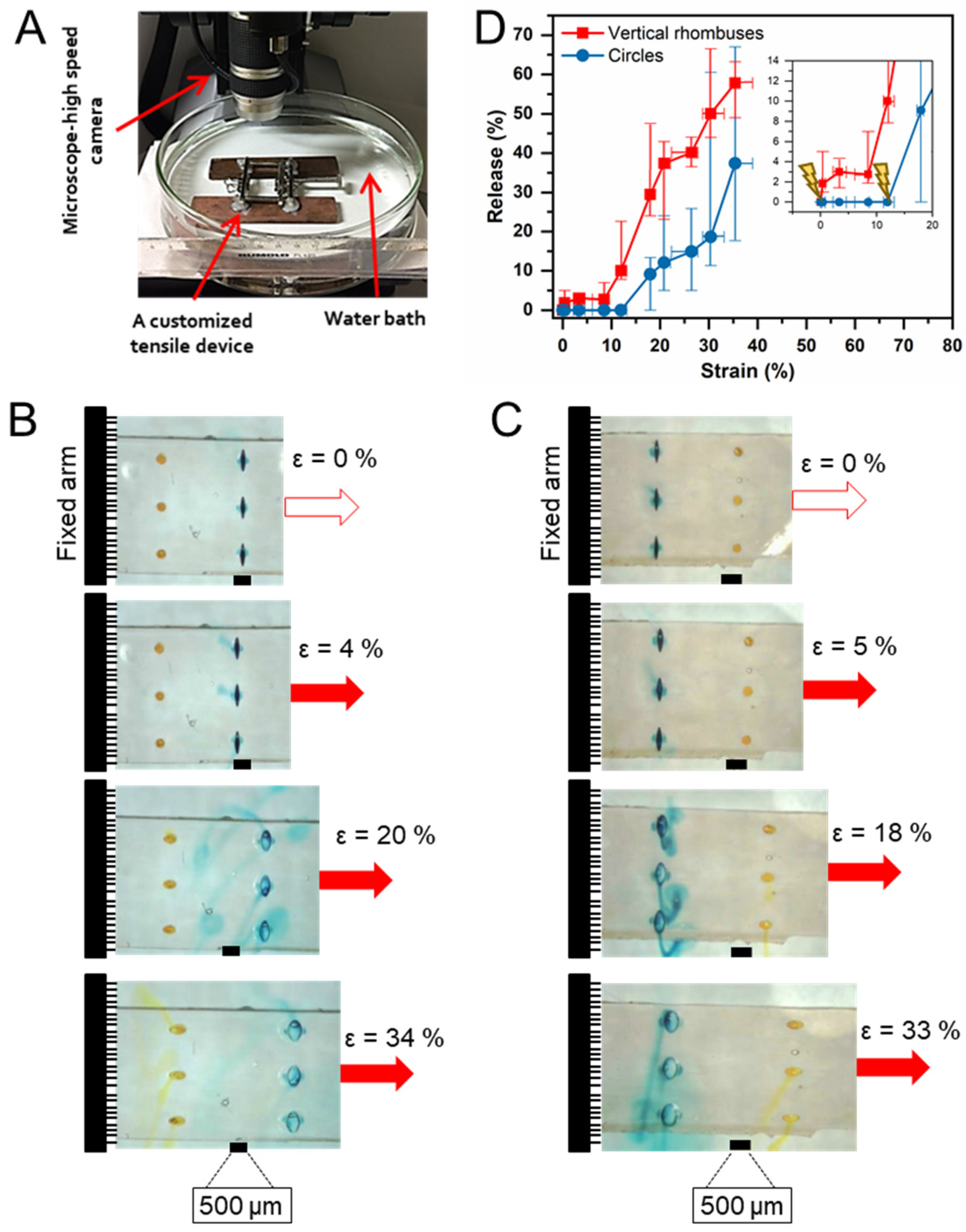 Pharmaceutics 14 02611 g007 Pharmaceutics 14 02611 g007