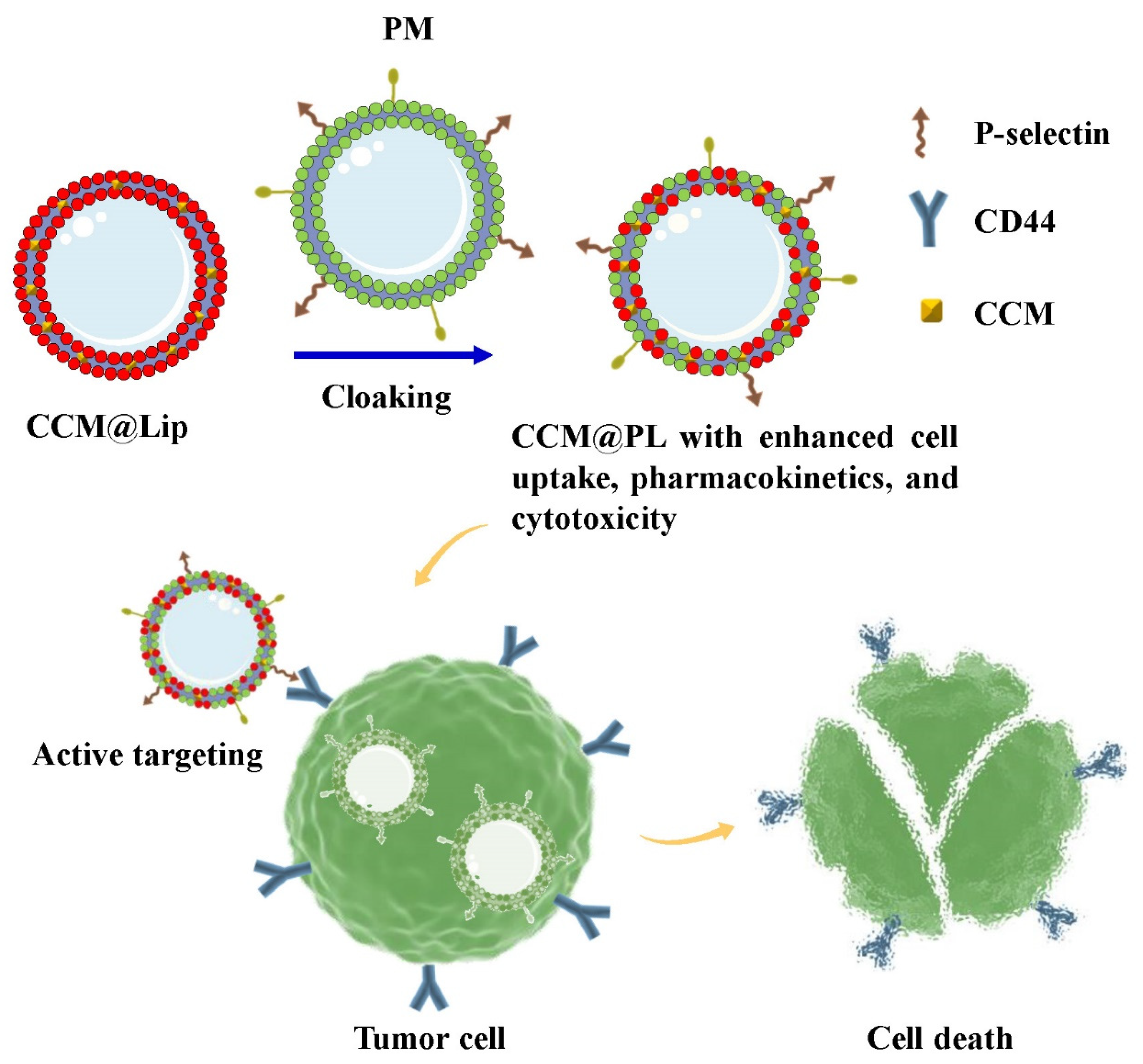 Pharmaceutics 14 02614 sch001