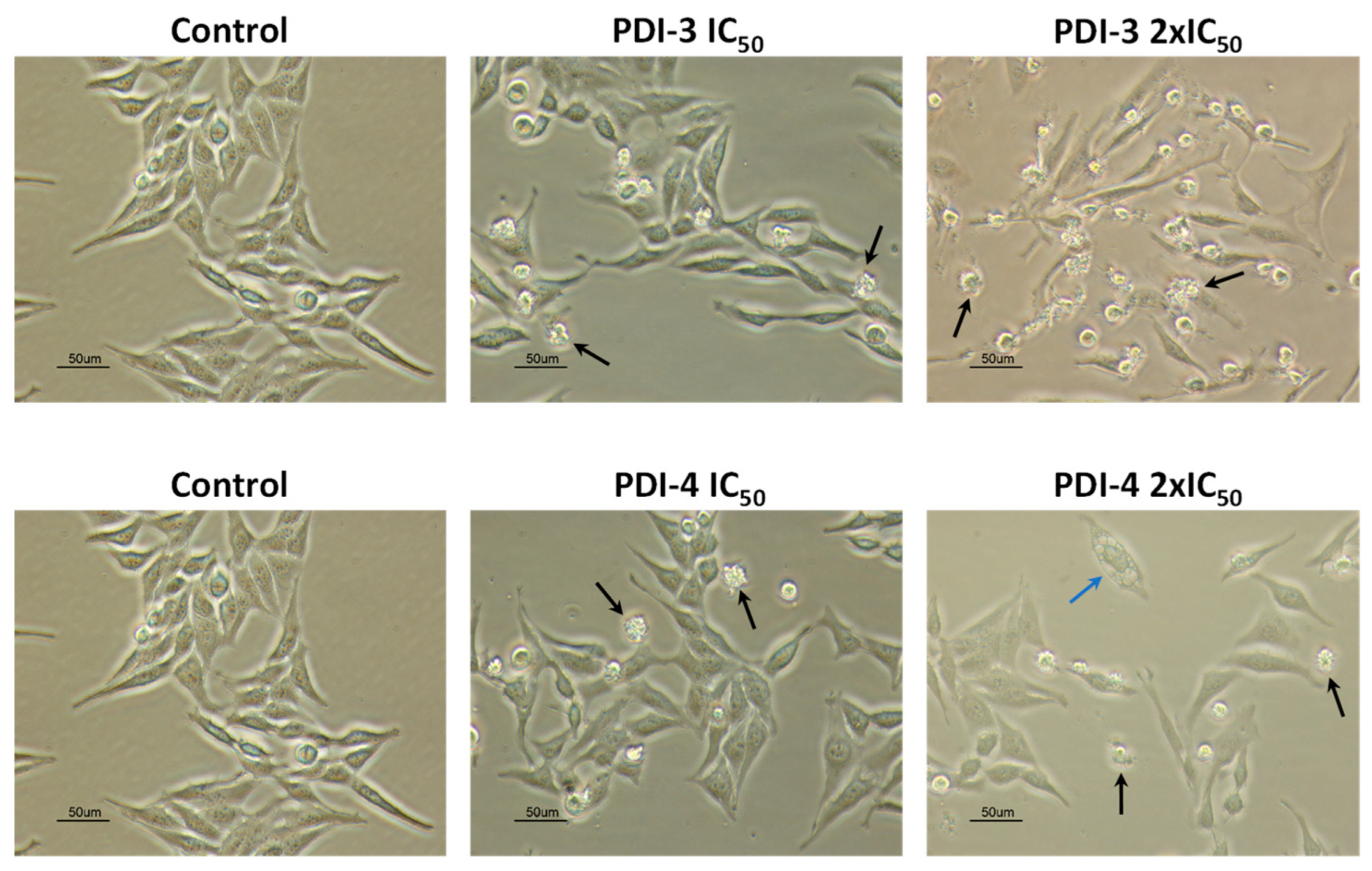Pharmaceutics 14 02616 g005 Pharmaceutics 14 02616 g005