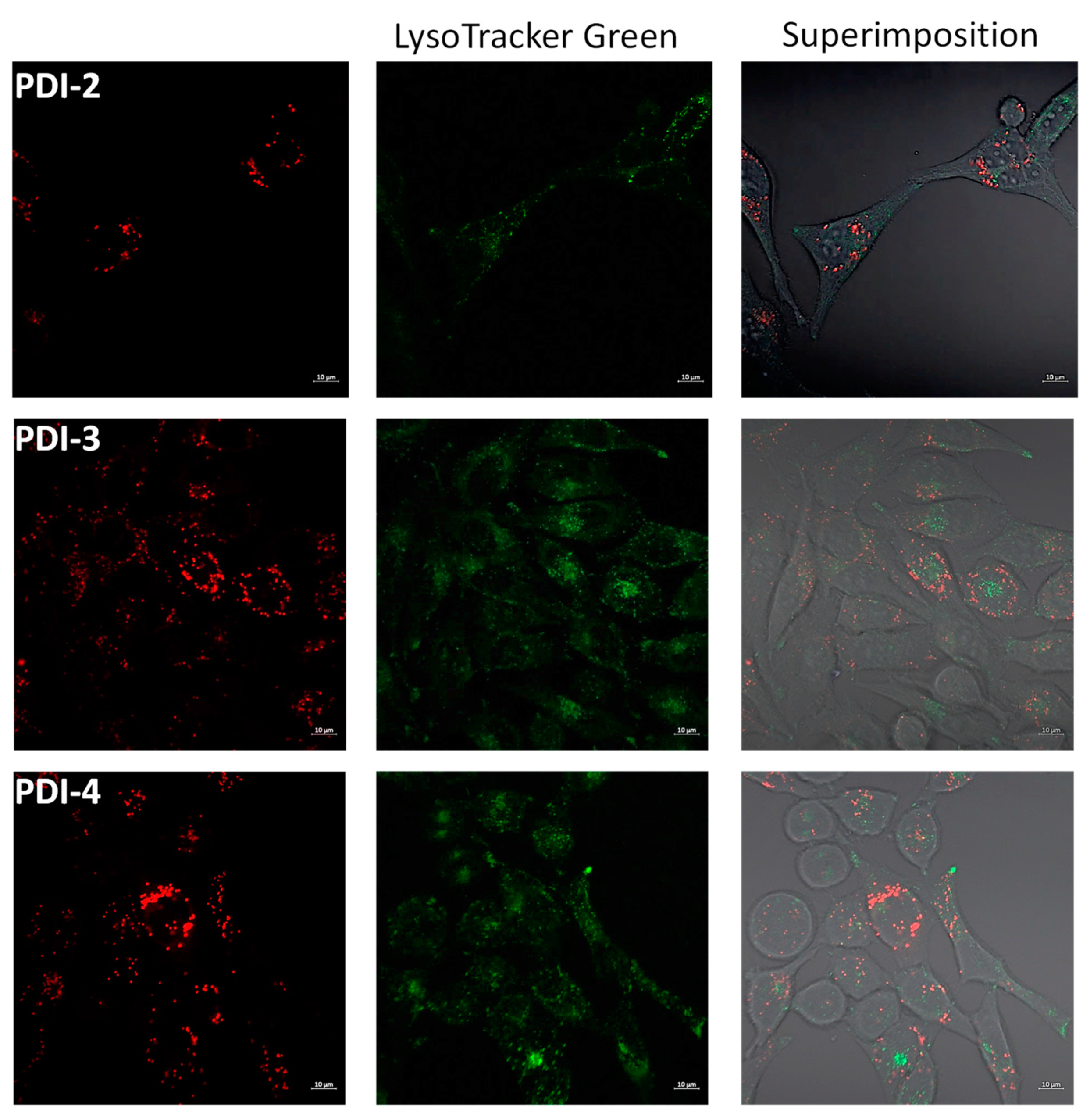 Pharmaceutics 14 02616 g007 Pharmaceutics 14 02616 g007