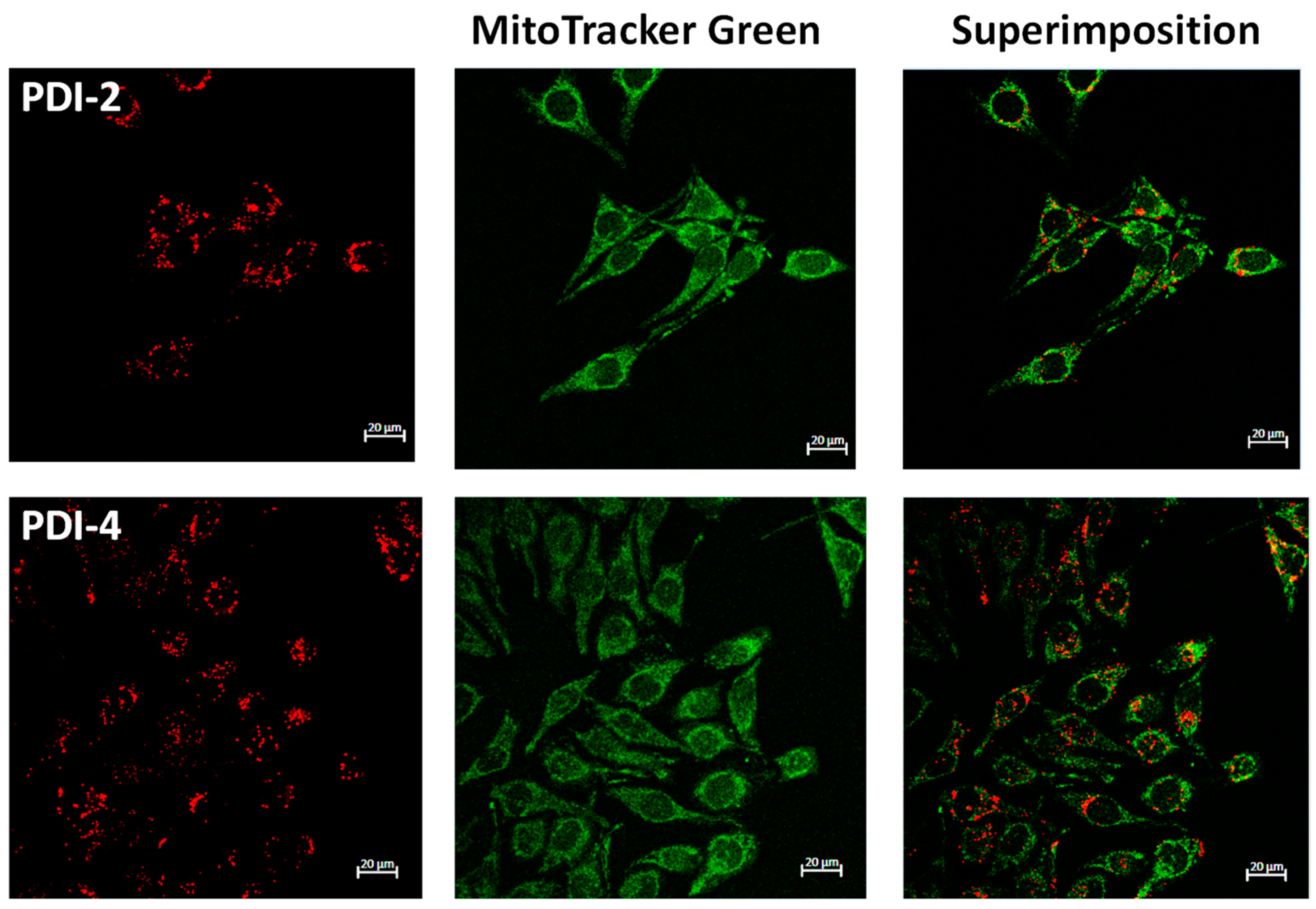 Pharmaceutics 14 02616 g008 Pharmaceutics 14 02616 g008