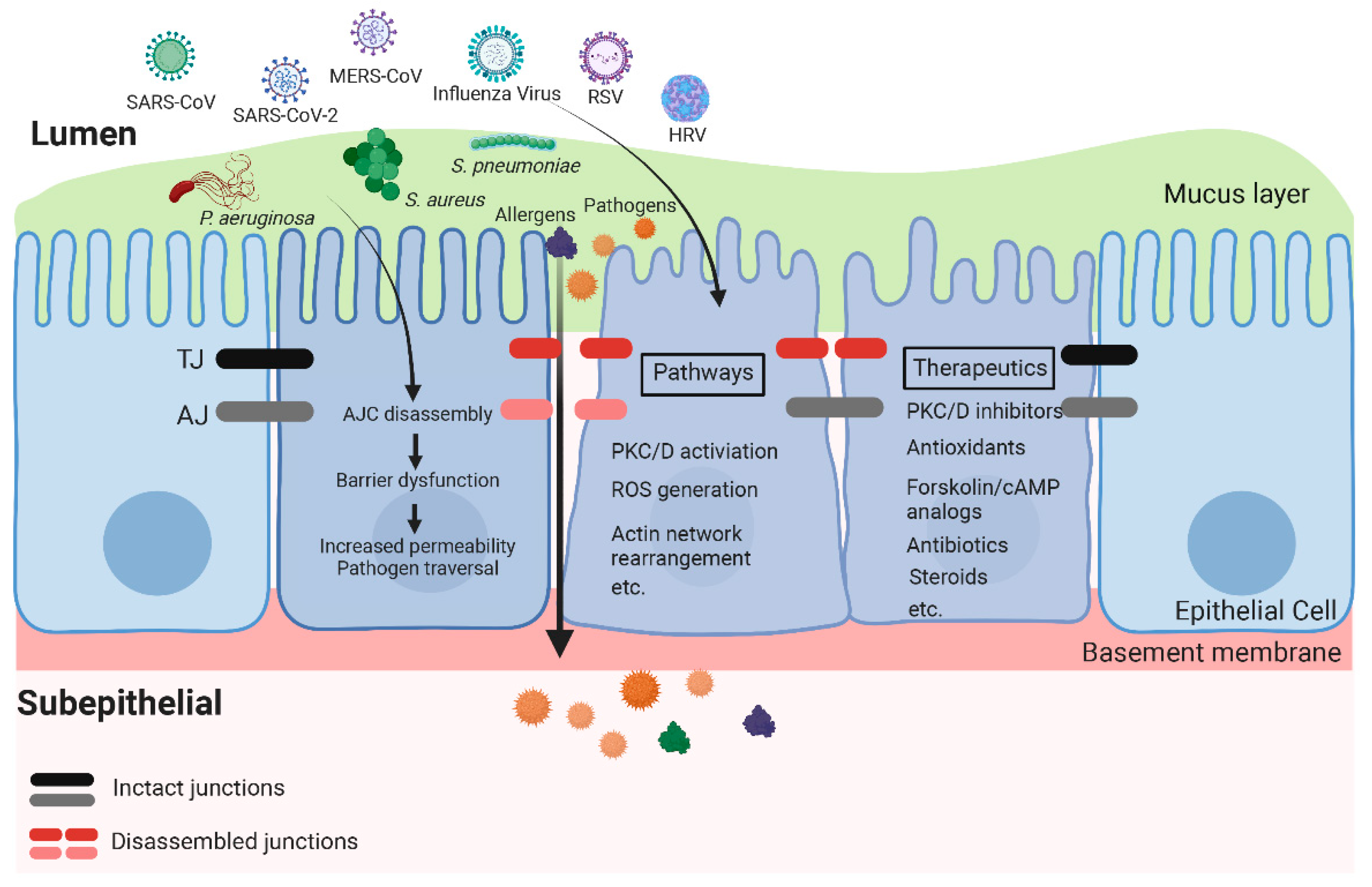 Pharmaceutics 14 02619 g002