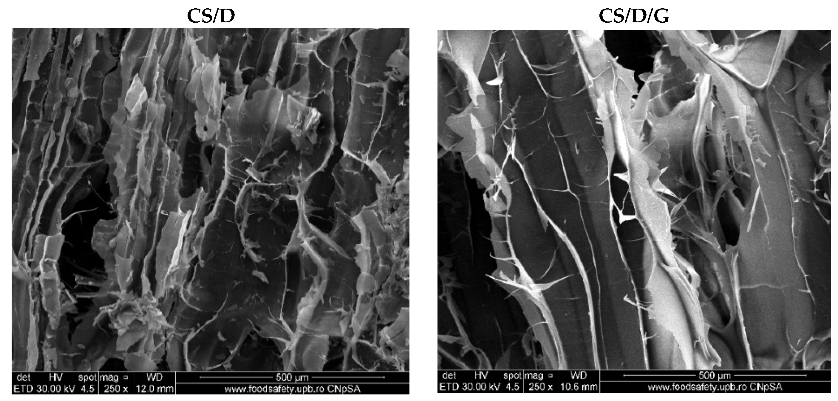 Pharmaceutics 14 02620 g003 Pharmaceutics 14 02620 g003