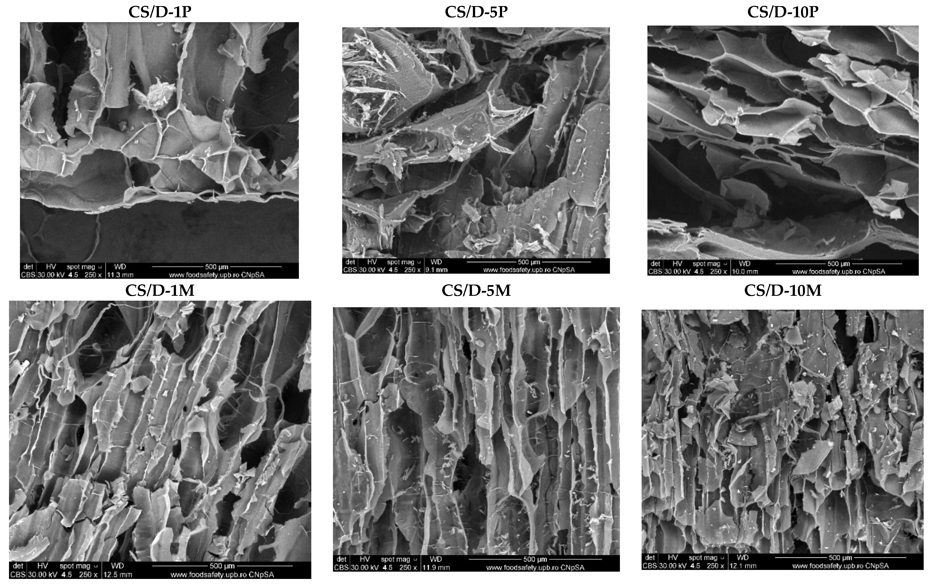 Pharmaceutics 14 02620 g004 Pharmaceutics 14 02620 g004