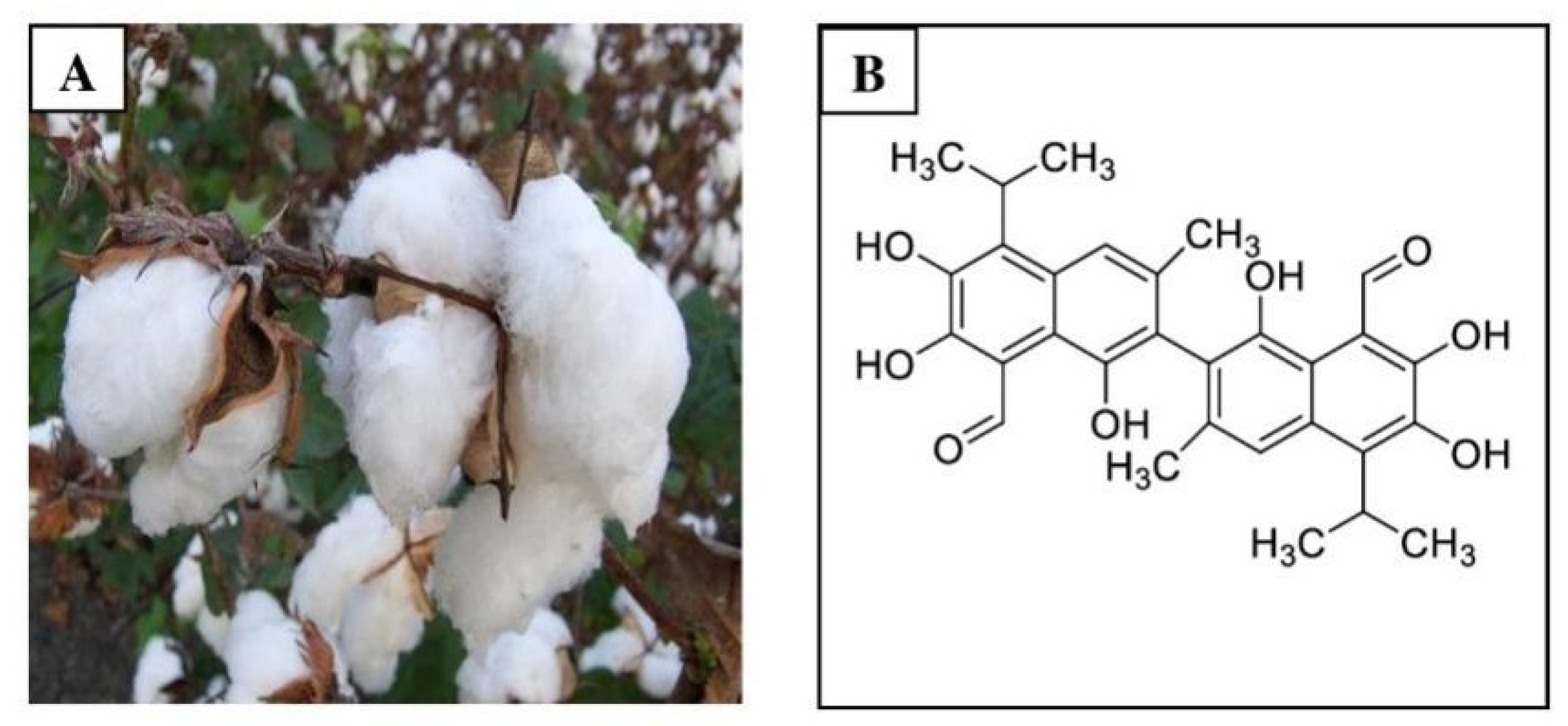 Pharmaceutics 14 02624 g001