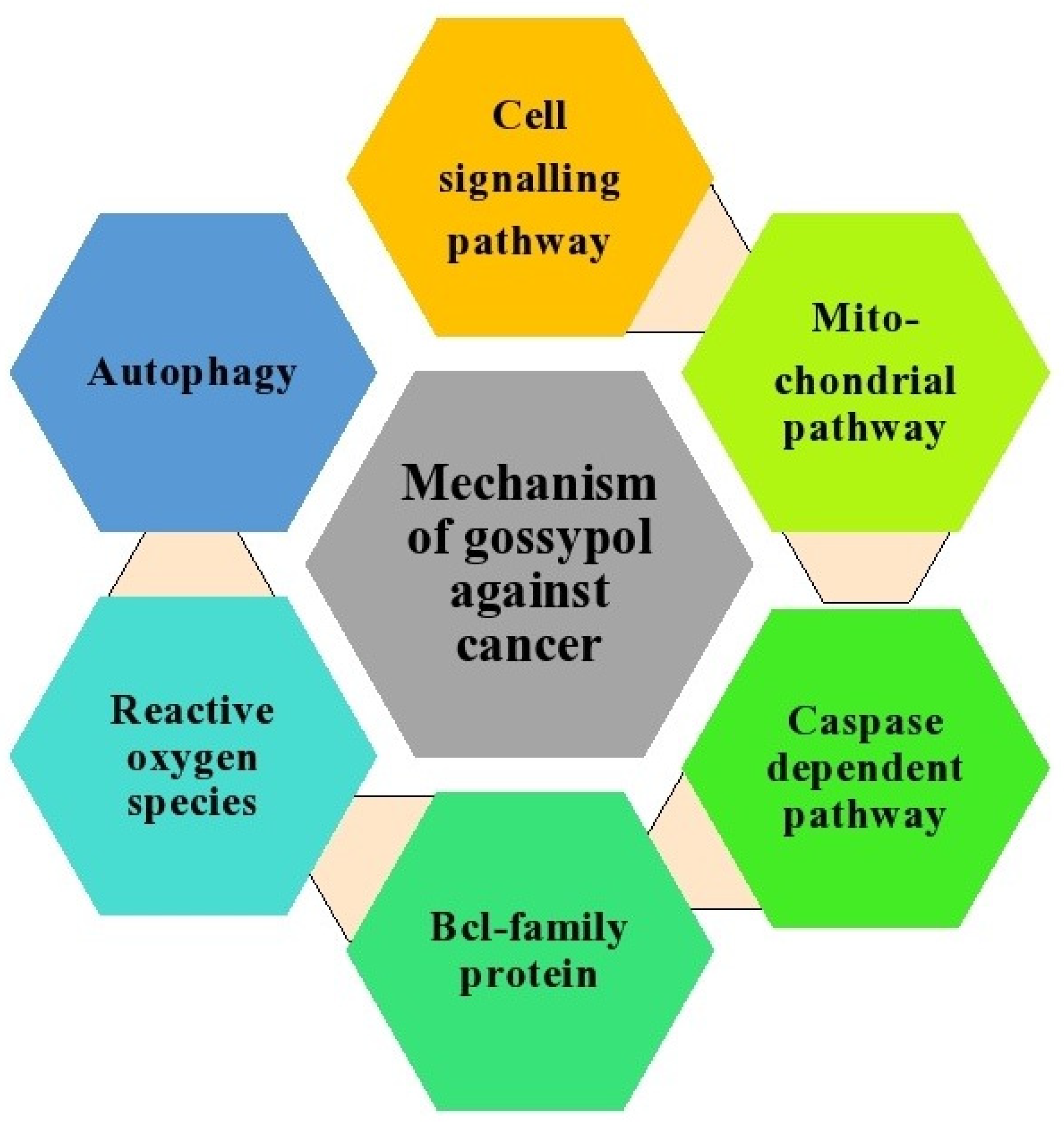 Pharmaceutics 14 02624 g008