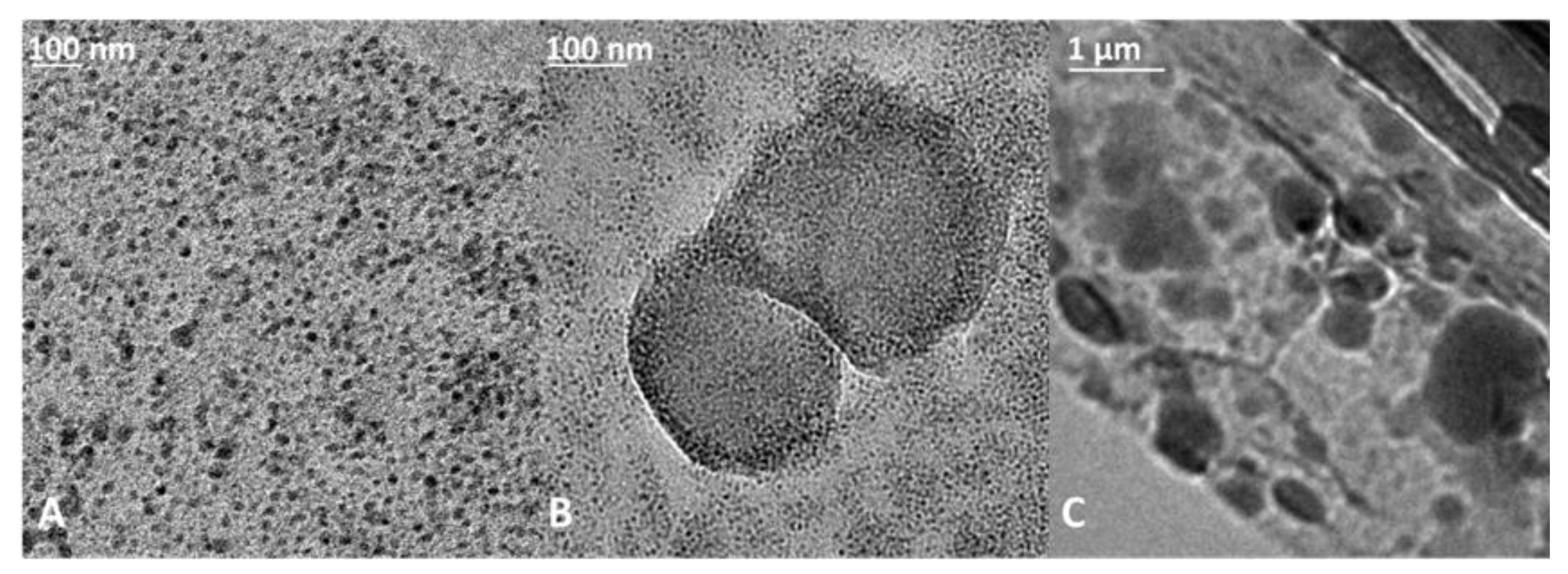Pharmaceutics 14 02626 g003 Pharmaceutics 14 02626 g003