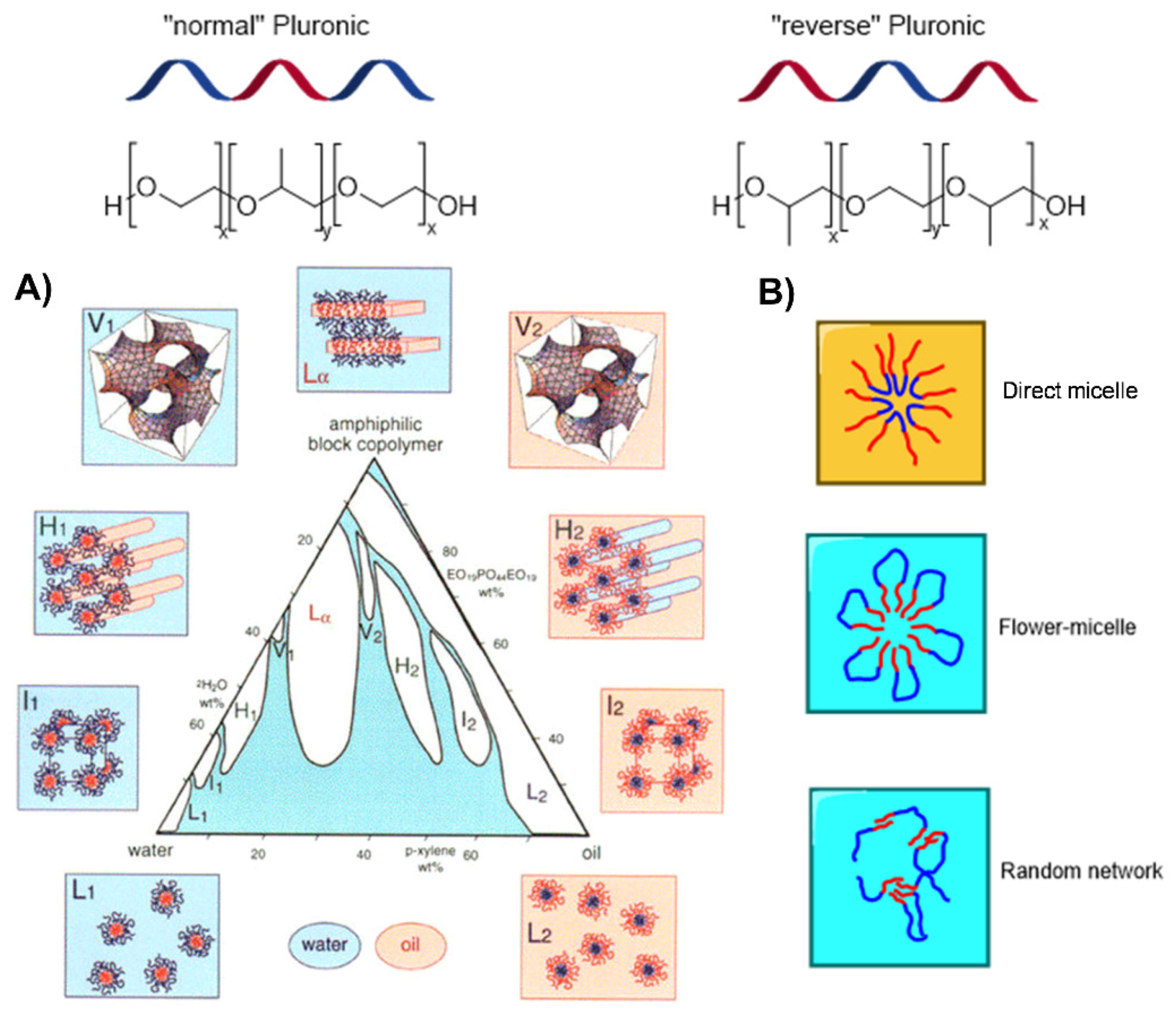 Pharmaceutics 14 02628 g001 Pharmaceutics 14 02628 g001