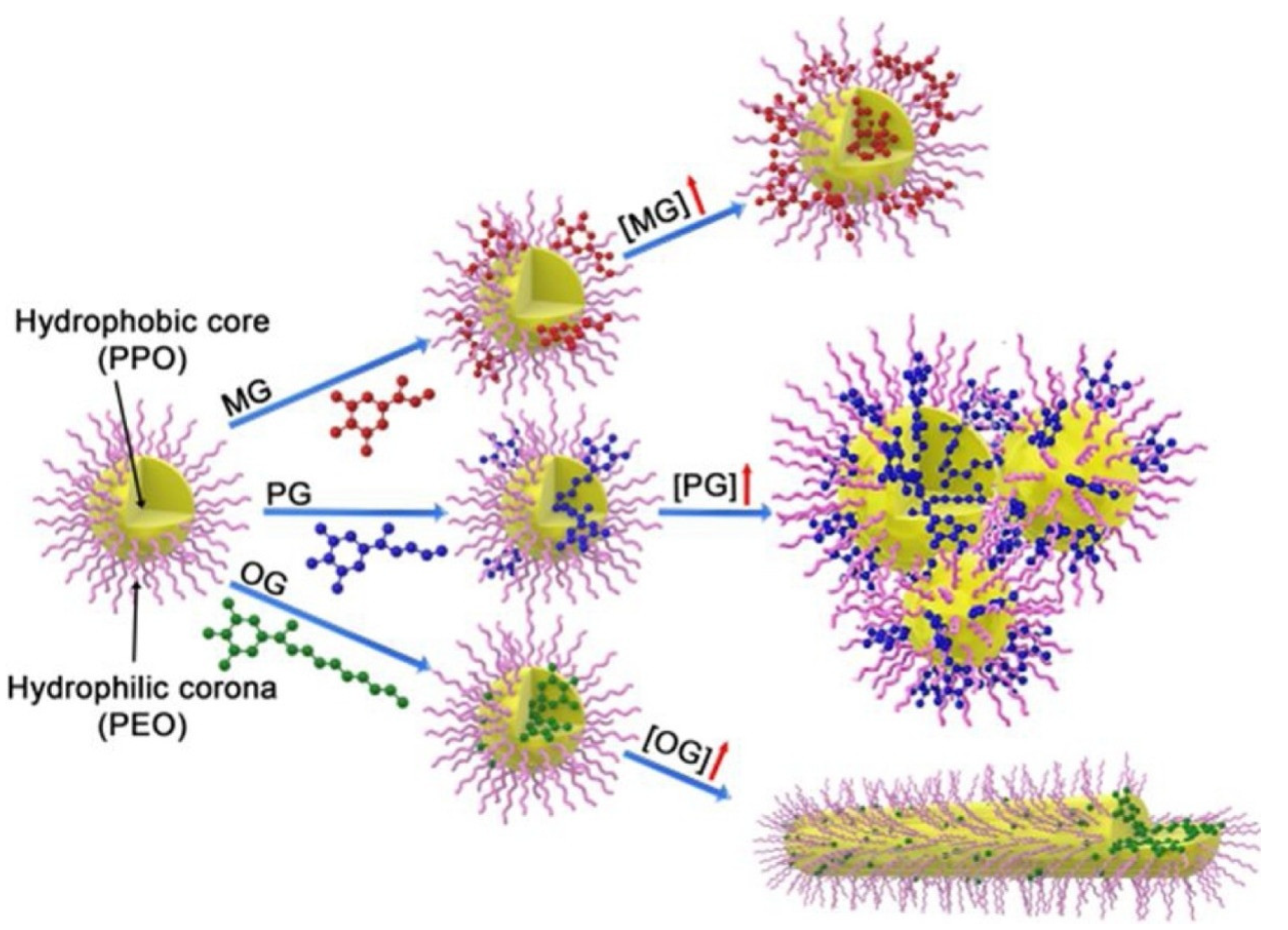 Pharmaceutics 14 02628 g004 Pharmaceutics 14 02628 g004