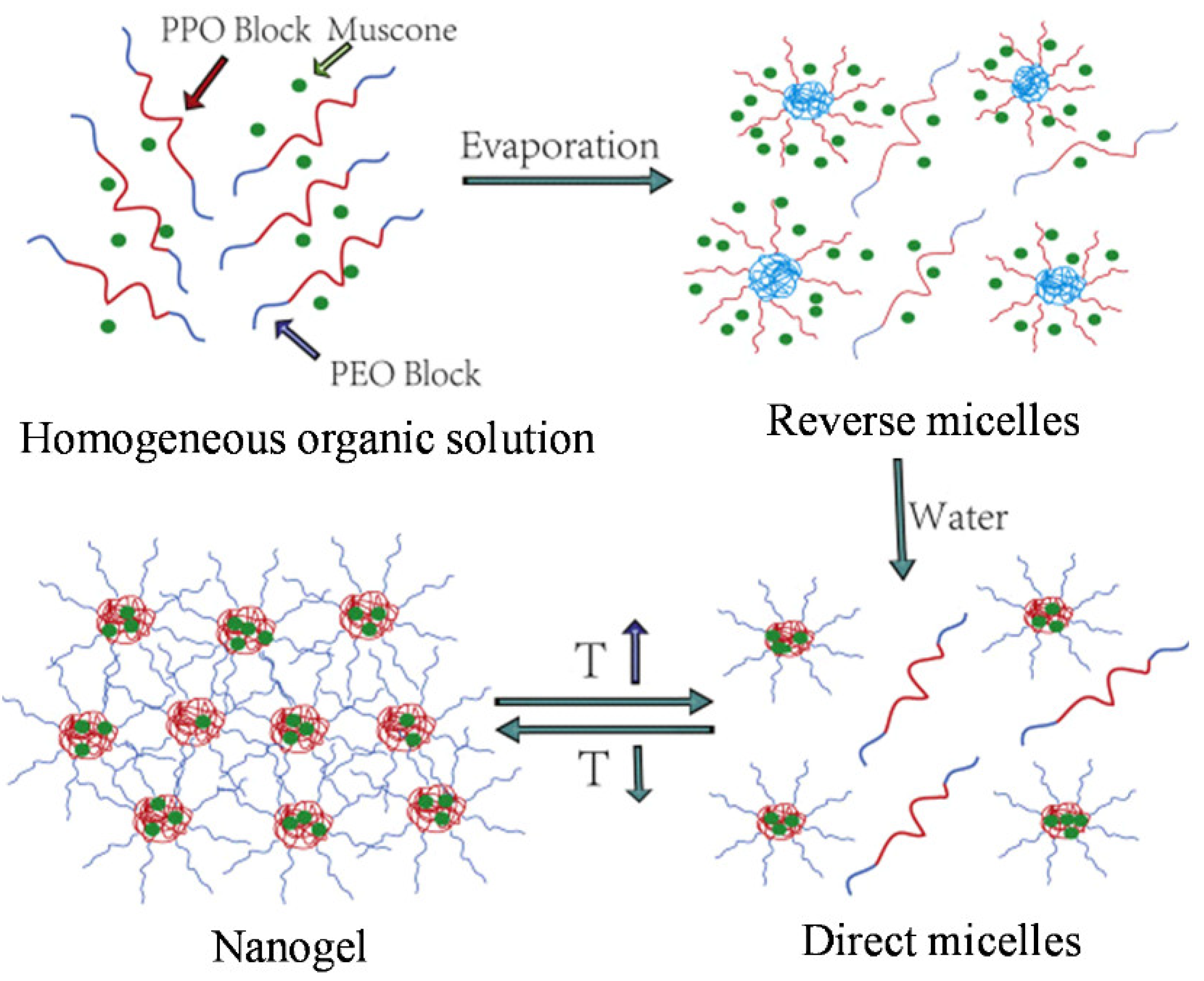 Pharmaceutics 14 02628 g006 Pharmaceutics 14 02628 g006