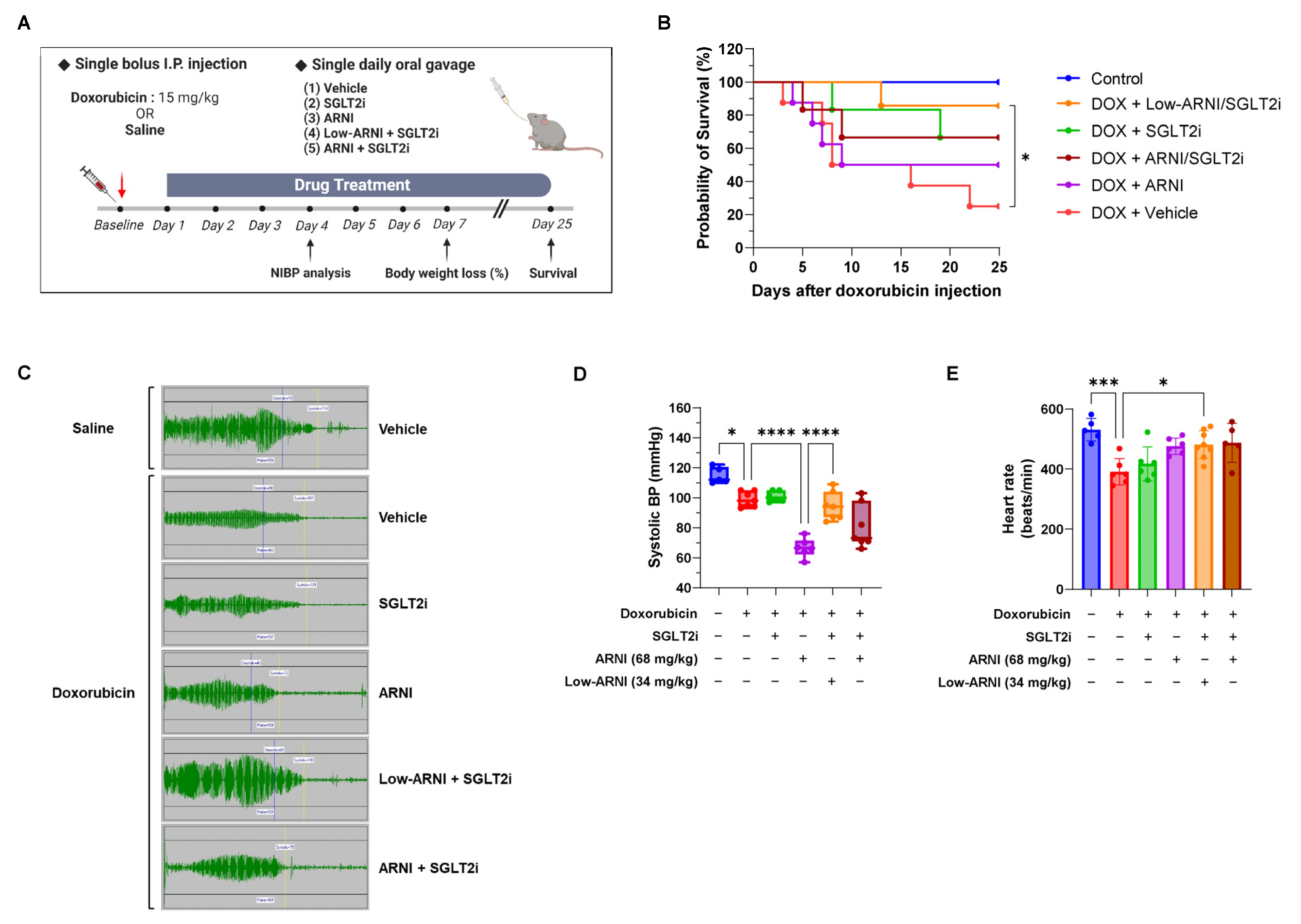 Pharmaceutics 14 02629 g001 Pharmaceutics 14 02629 g001
