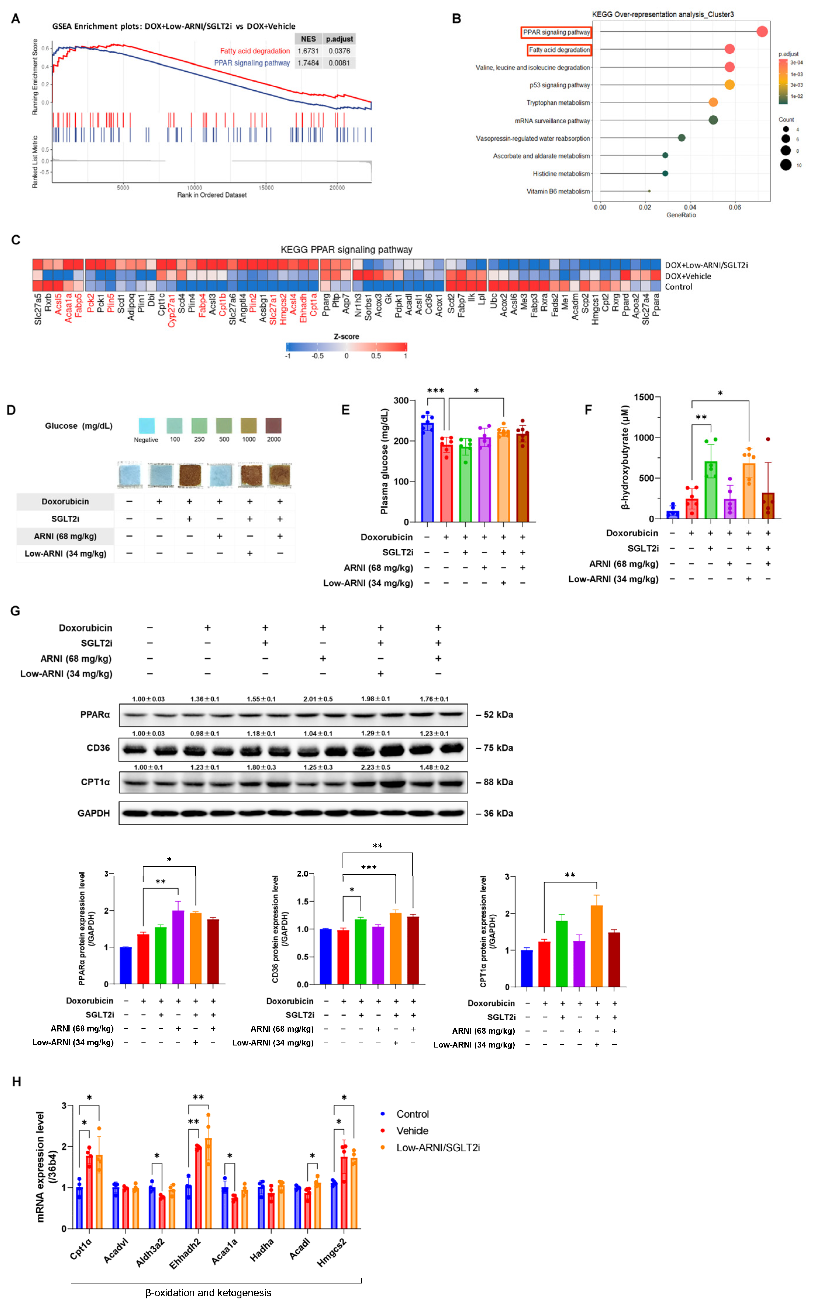 Pharmaceutics 14 02629 g005 Pharmaceutics 14 02629 g005