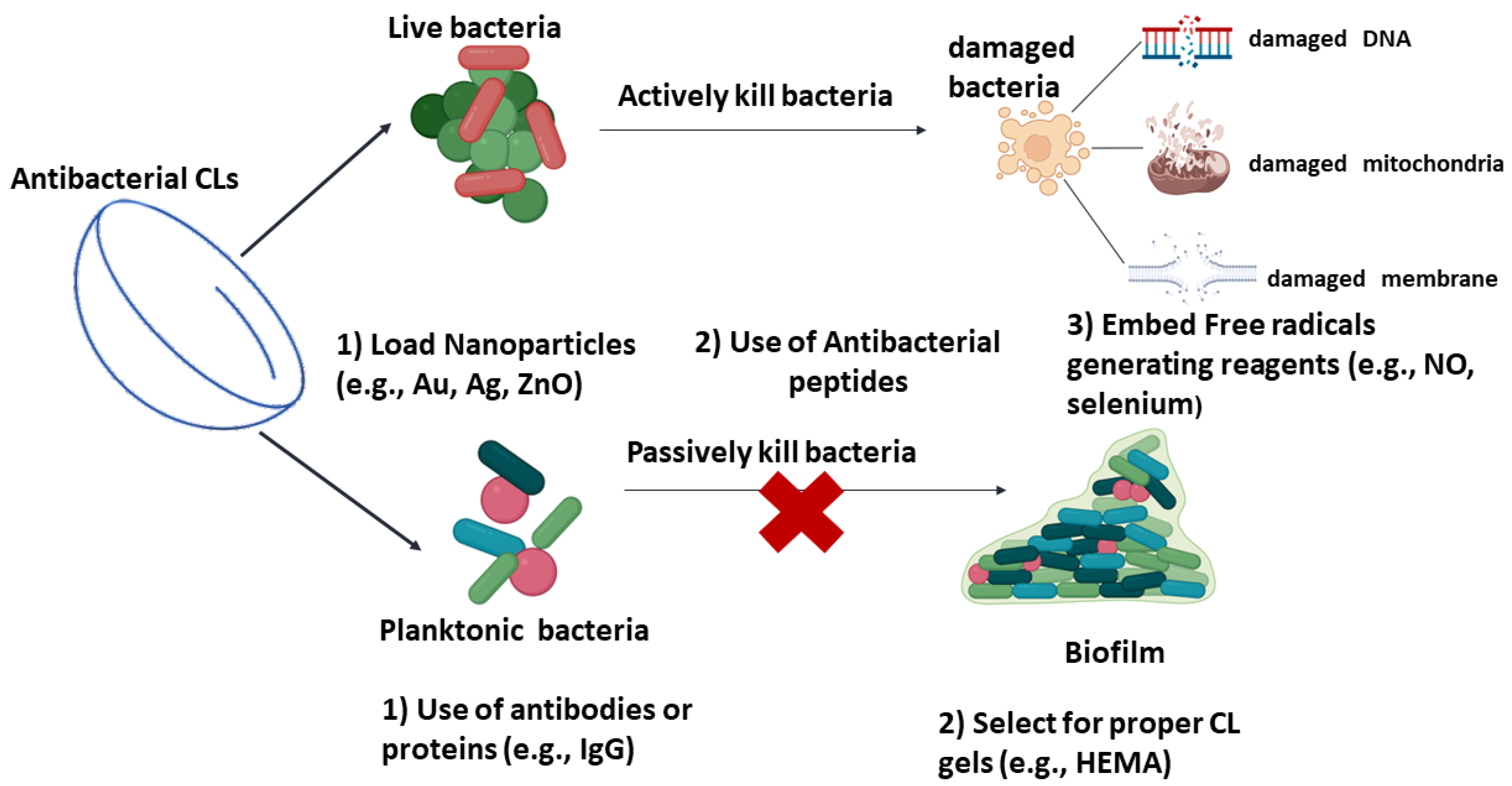 Pharmaceutics 14 02635 g002 Pharmaceutics 14 02635 g002