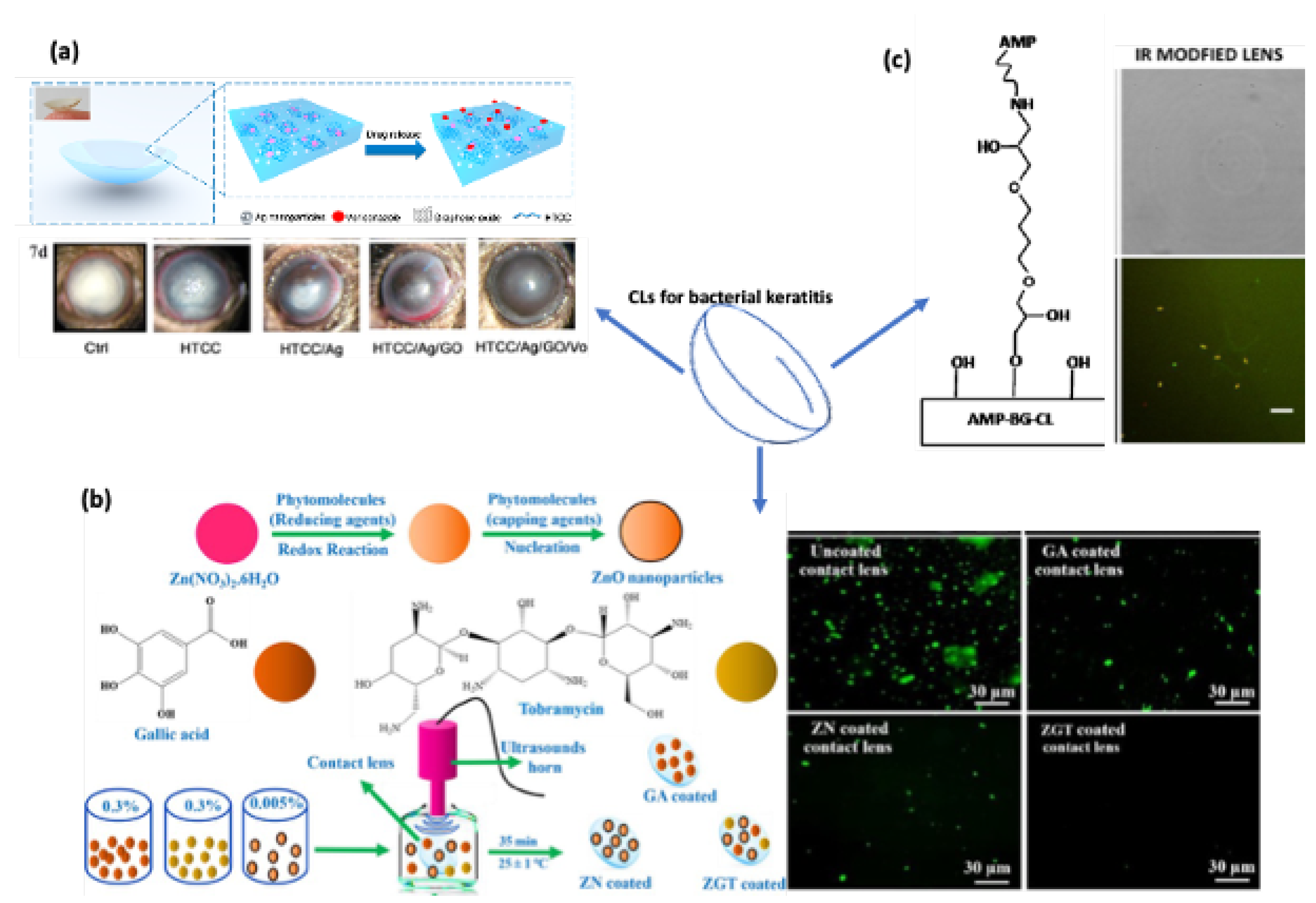 Pharmaceutics 14 02635 g003 Pharmaceutics 14 02635 g003
