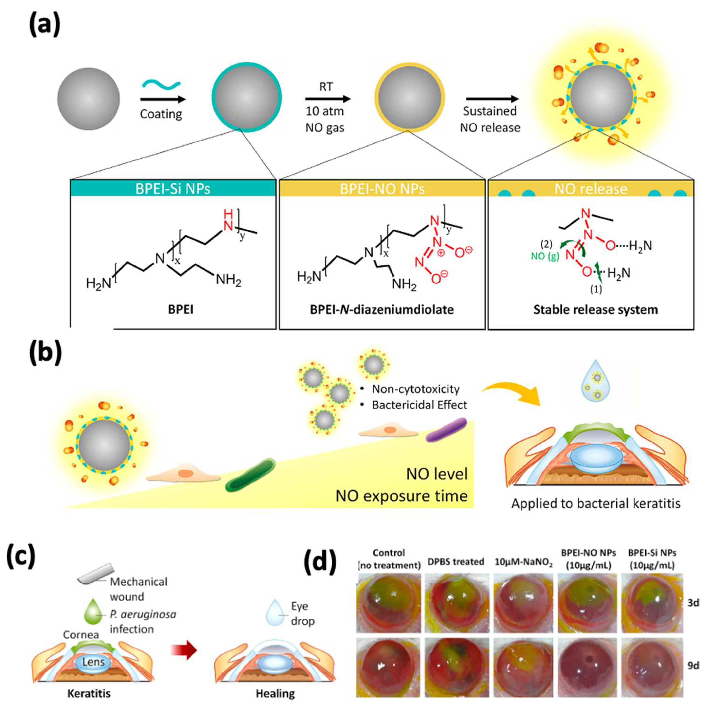 Pharmaceutics 14 02635 g004 Pharmaceutics 14 02635 g004